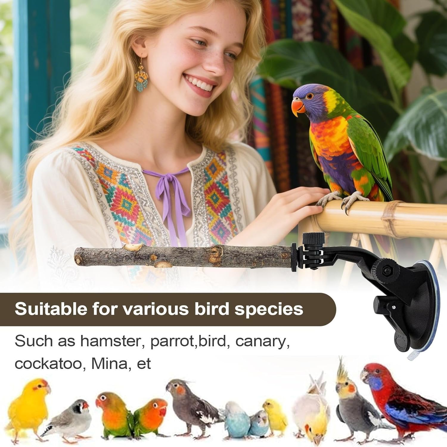 Suction Cup Bird Perch | Adjustable Stand Toy for Training,Wood Window Suction Cup Bird Perch Toy | for Balcony Apartment Patio Porch Tree Shower Wall Mirror