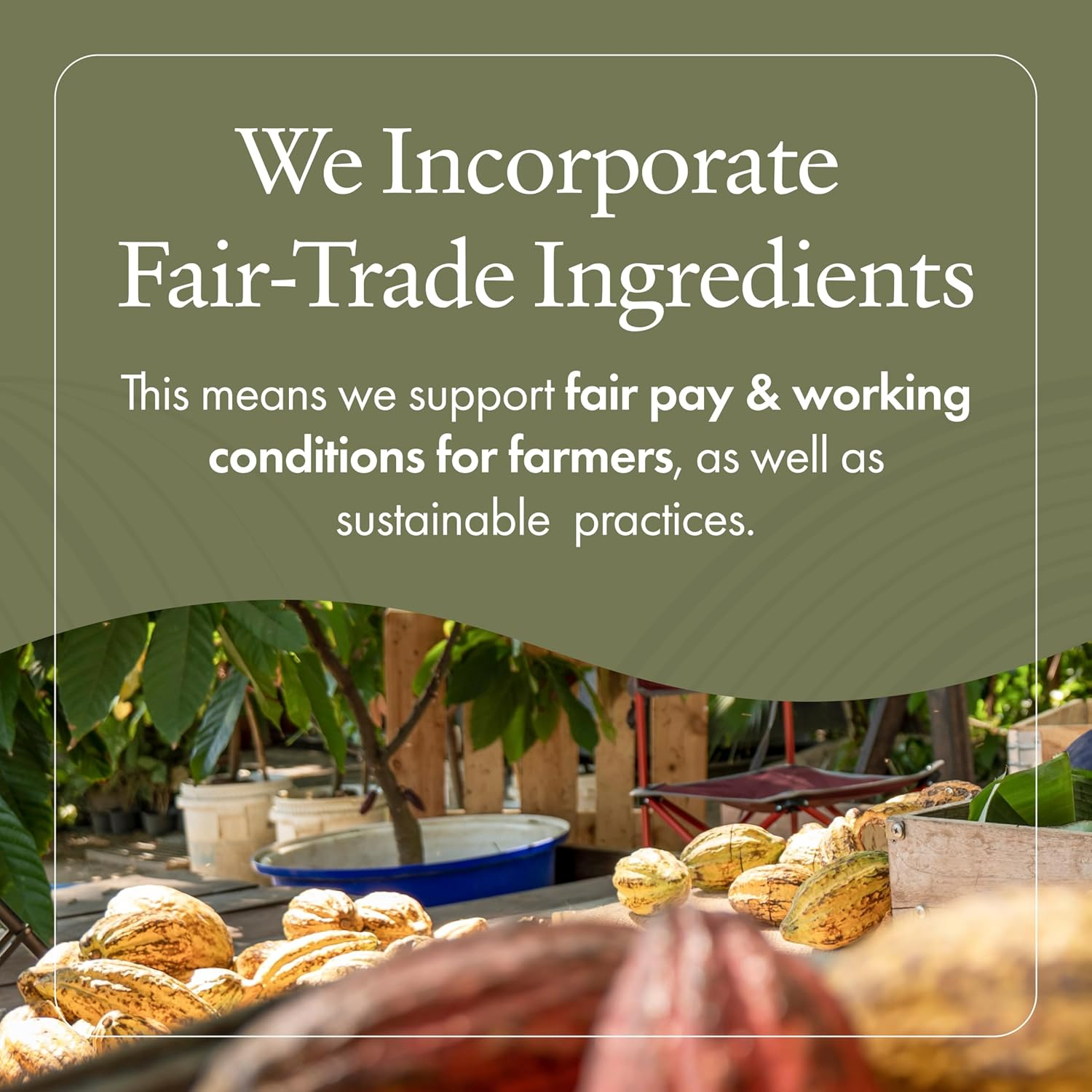 Emerginc Scientific At-Home Luxury Spa Kit - Rawceuticals - 5-Piece Set - Raw Power Facial Kit, Revital-Eyes Mask Sample, Essential Oil Bath Bomb, Himalayan Bath Salt Pack, Beeswax Purifying Candle image number 4