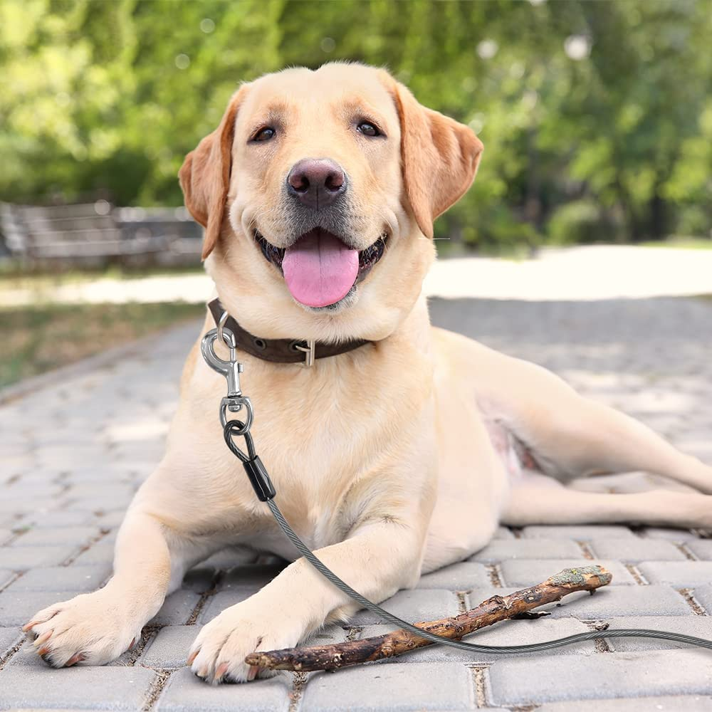 BV Pet Super Heavy XXL Tie Out Cable for Dogs up to 250 Pound, 25 Feet image number 4