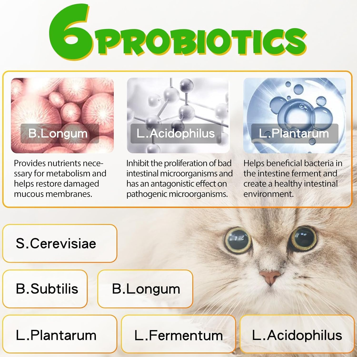 Cat Constipation Relief Drops 60Ml | 100% Natural Cat Laxative with 6 Probiotics | Effective Stool Softener for Cats | Promotes Digestive Health | Chicken Flavour image number 5