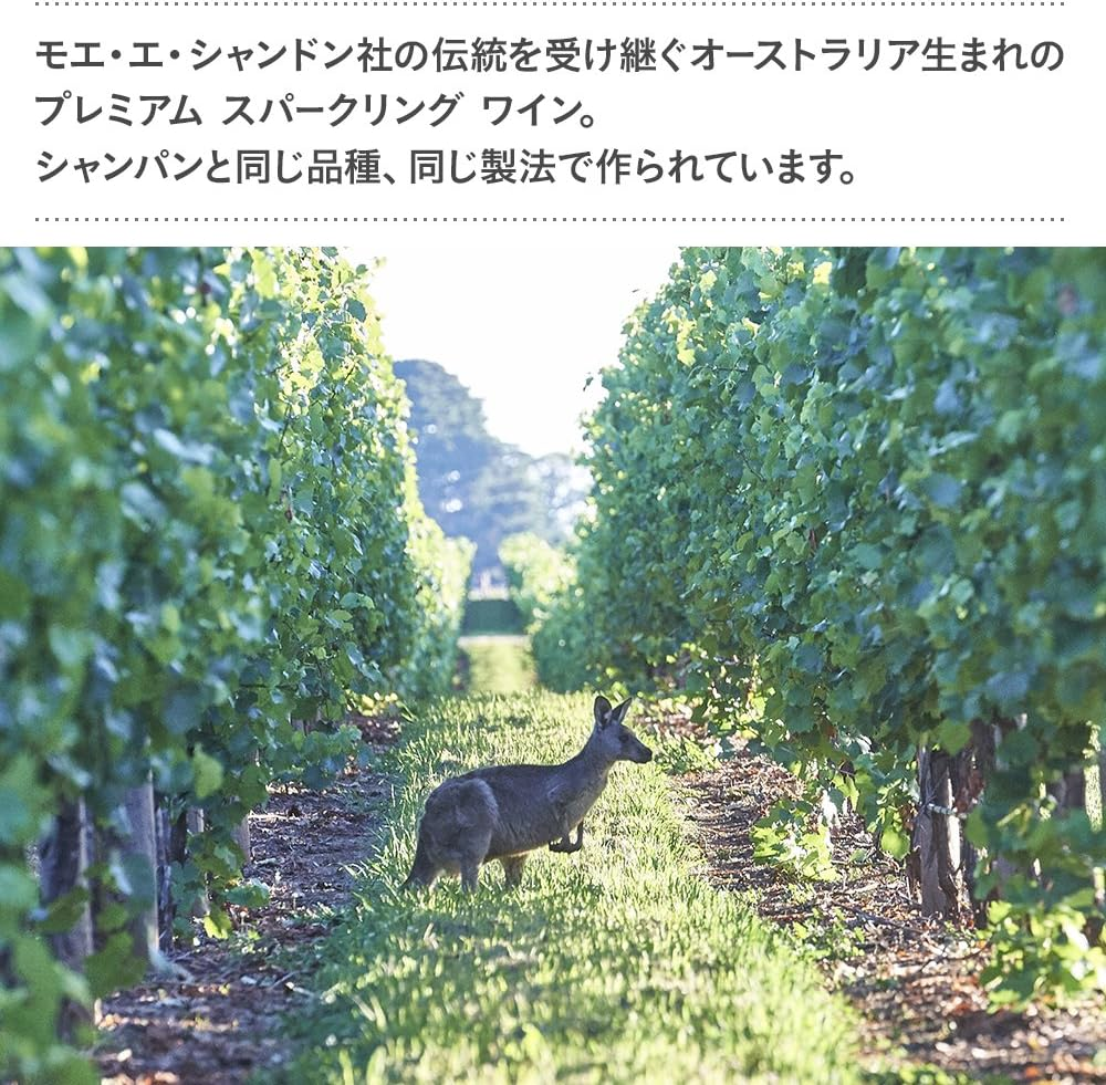 Chandon NV Rose 750Ml - 1 Bottle image number 1