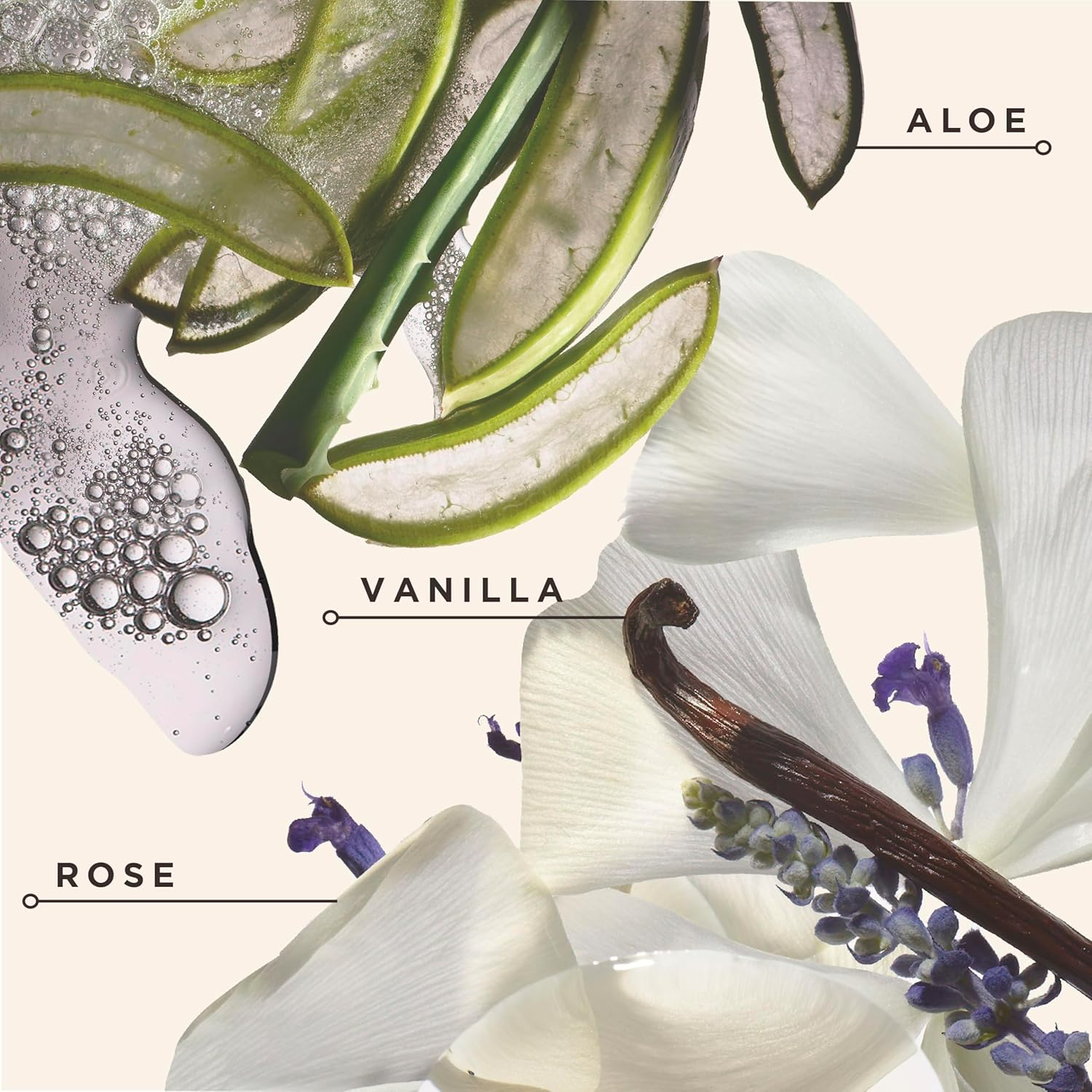 Carol'S Daughter Black Vanilla Moisture Sulfate Free Shampoo for Curly, Wavy or Natural Hair, Moisturizing Hair Care for Dry, Damaged Hair, 12 Fl Oz image number 2