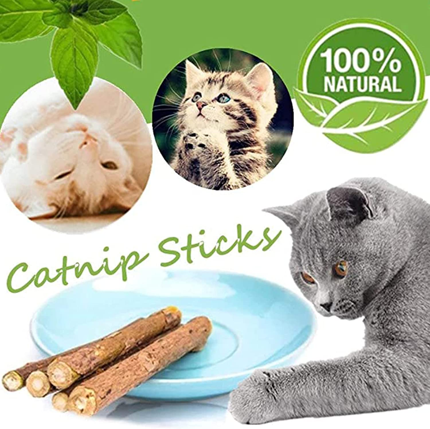 Ueerdand Organic Cat Chew Toys Natural Matatabi Silvervine Cat Teeth Cleaning Chew Sticks (50 Pcs) image number 1