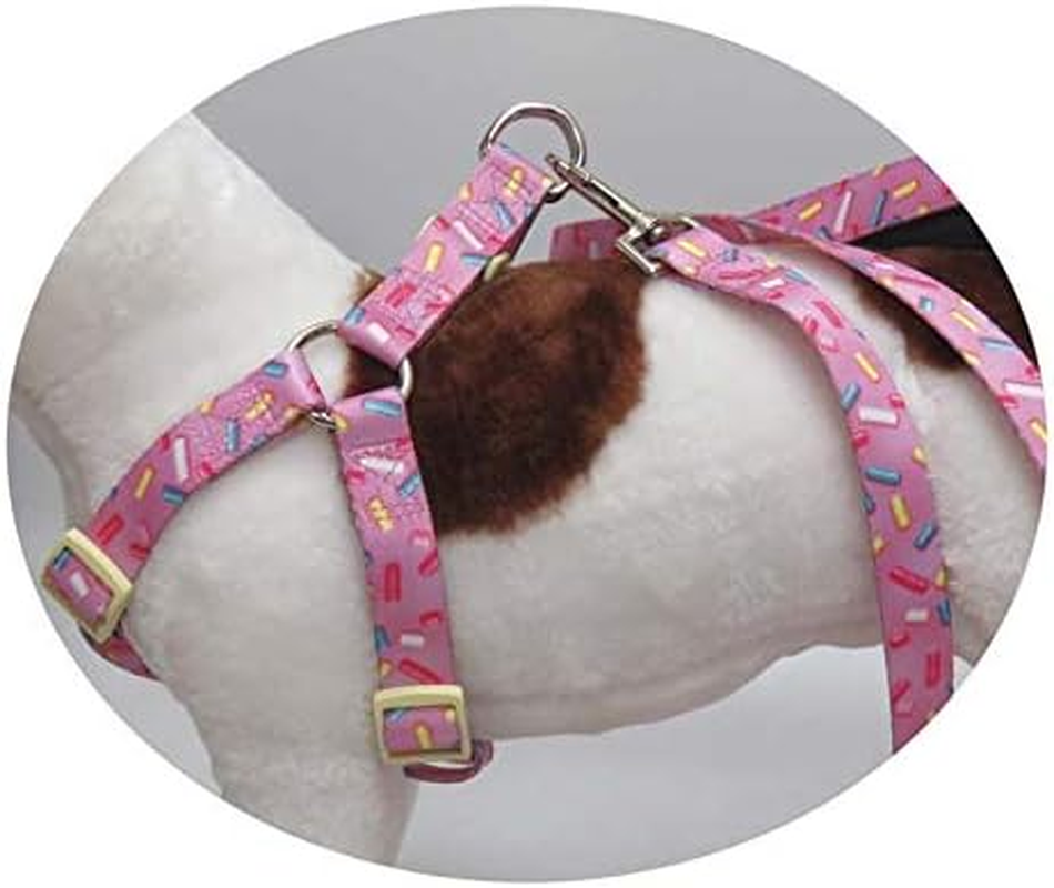 Studio Pets AR-01XS-ST Dog Harness, Size XS image number 2