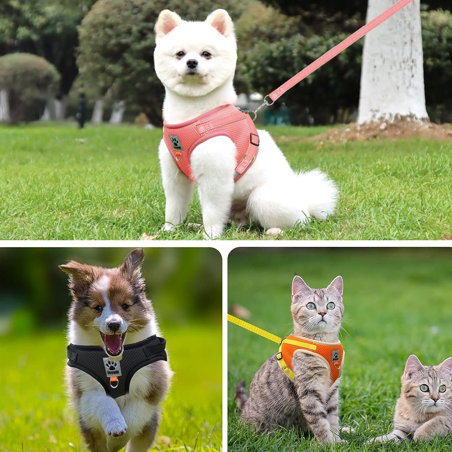 Grantop Cat Lead Set for Cats, Polyester Adjustable Cat Harness with Lead, Cat Vest with Reflective Strips for Kittens, Dogs (Pink, L) image number 1