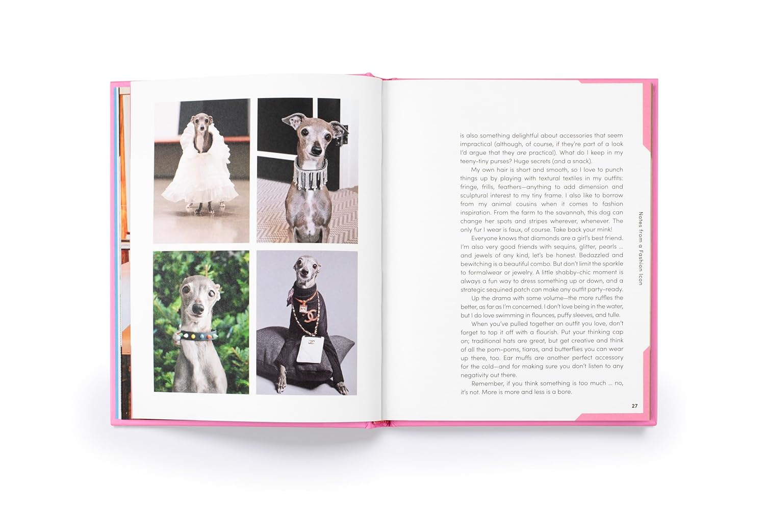 Tika the Iggy: Lessons in Life, Love, and Fashion image number 5