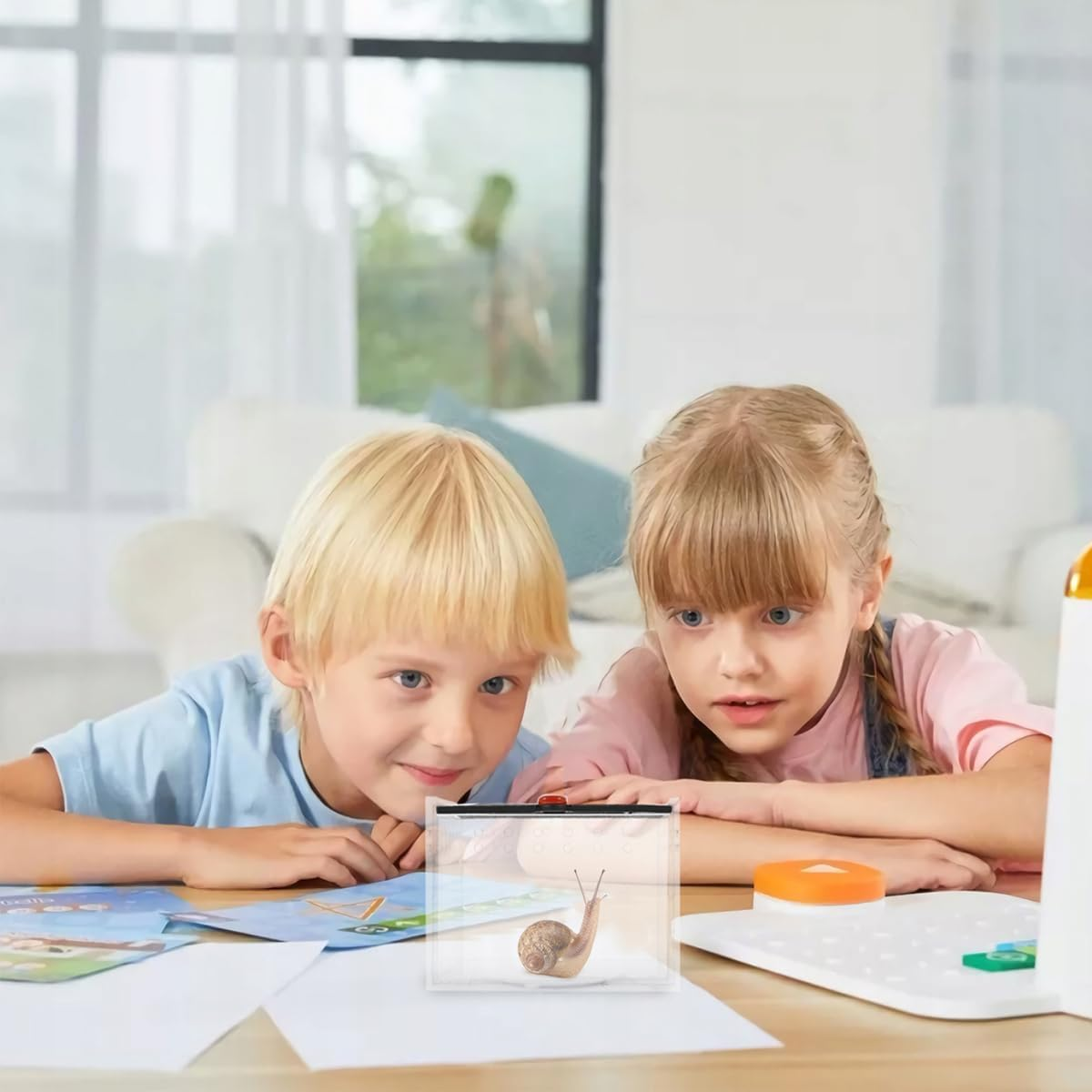 AIMALL Acrylic Reptile Climbing Pet Enclosure, Transparent Spider and Lizard Breeding Terrarium, Lightweight and Durable Design - Transparent image number 3