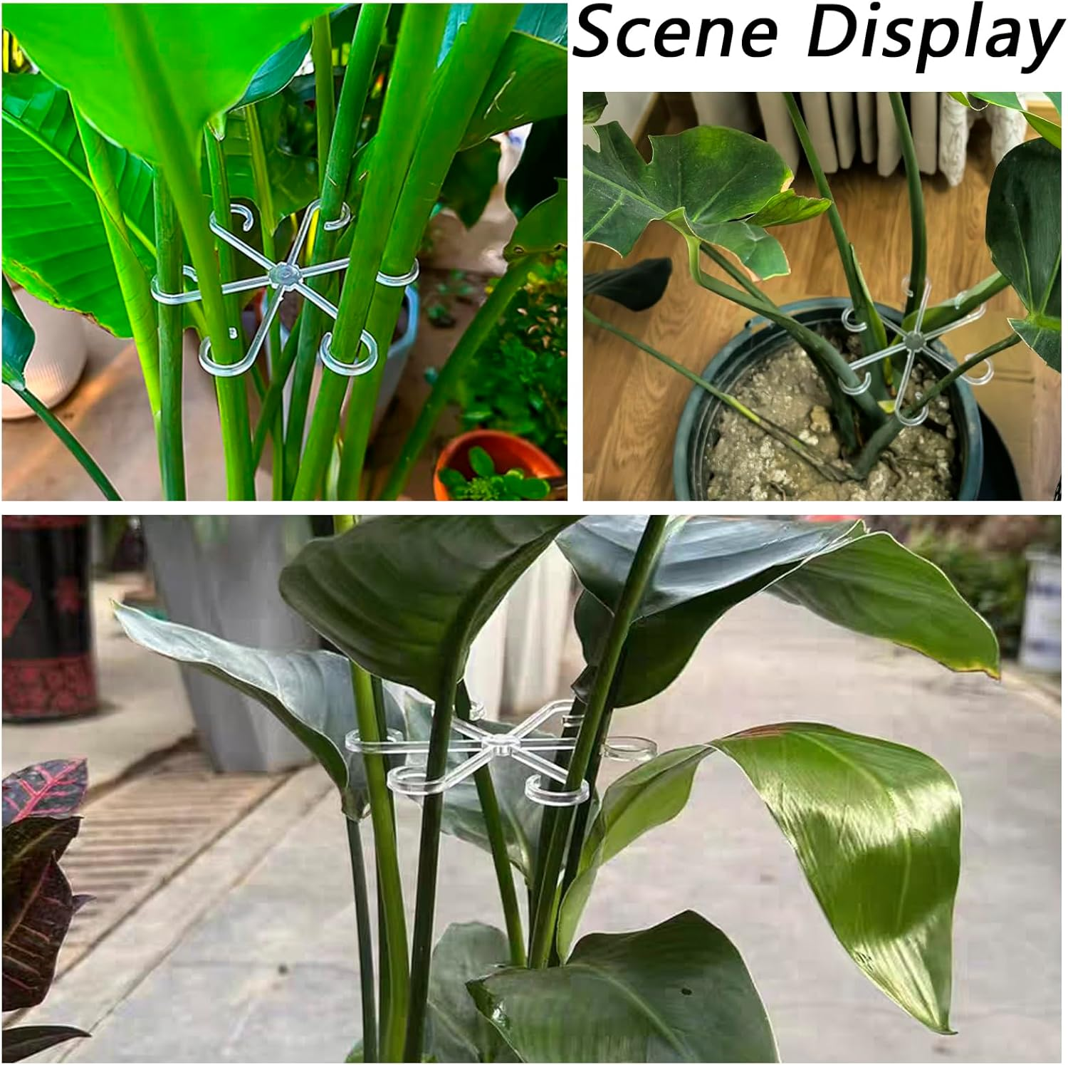 4 PCS Plant Stem Support, Climbing House Plant Stem Support, Plant Supports for Indoor Plants, Reusable Houseplant Accessories（Transparent） - Red image number 6
