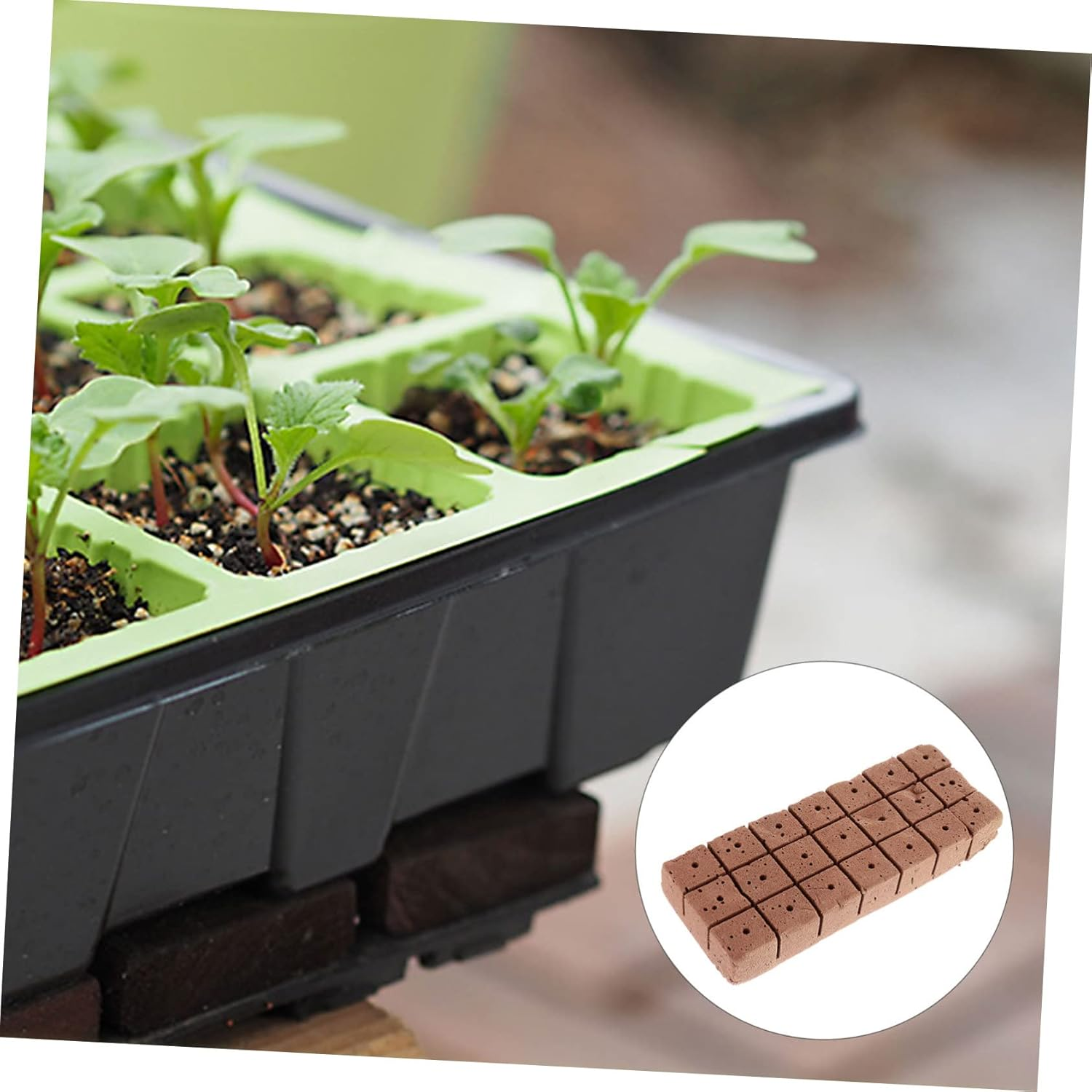 40Pcs Practical Nutrient Soil Seedlings Matrix Block for Vegetables Flowers Garden Use image number 3