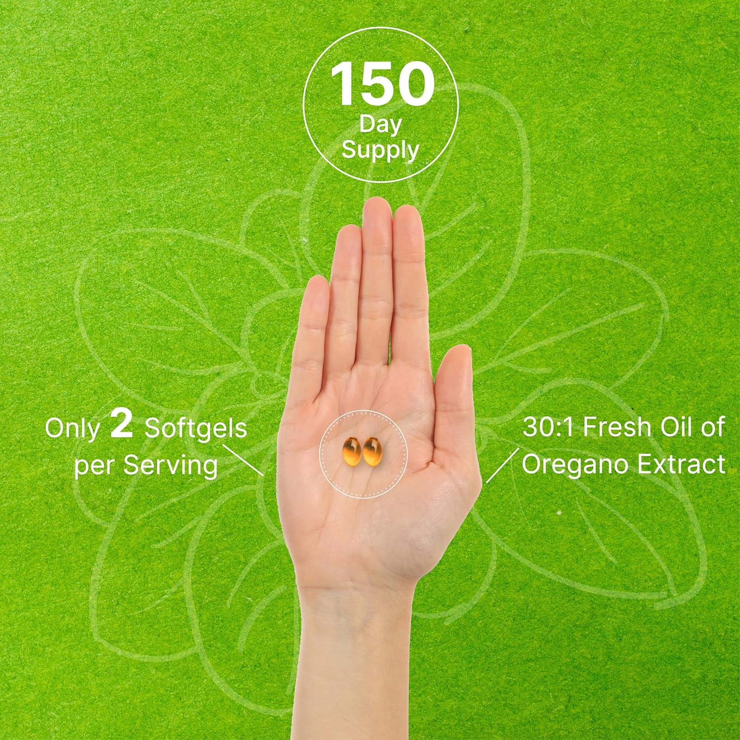 Deal Supplement Oil of Oregano Softgels with Black Seed Oil, 9,000Mg per Serving, 300 Count &ndash; 30:1 Extract, Active Carvacrol & Thymoquinone &ndash; Antioxidant Immune Health Support &ndash; Plant Based, Gmo-Free