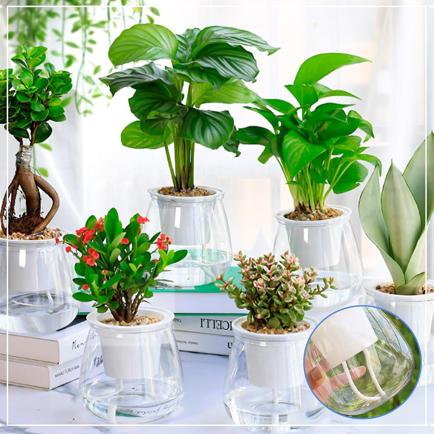 130 Feet Self Watering Wick Cord for Plants, 4Mm Self Watering Planter Insert, Self Watering Cotton Rope Plant Water for Vocation, Automatic Plant Water Indoor (130 Feet) image number 4