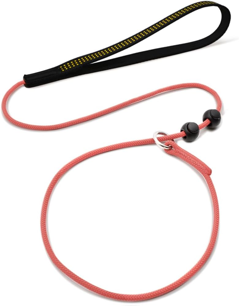 Beaugo Slip Leads for Dogs,Top Speed Training Dog Leash,2-In-1 Slip Collar Dog Training Lead & Collar,5Ft Thin Slip Lead,Sturdyand Durable, Leash Suitable for Small, Medium, and Large Dogs(Dark Green