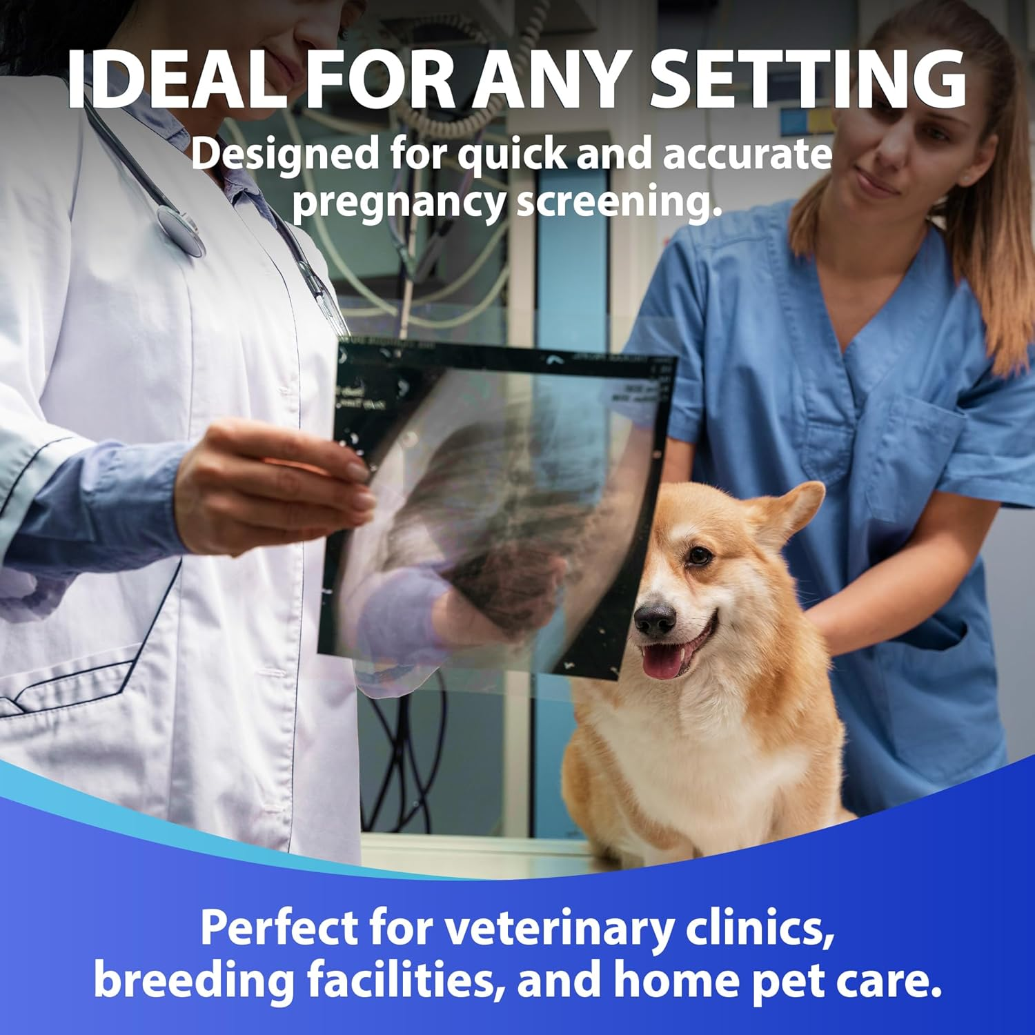 Dog Cat Pregnancy Test Kit at Home &ndash; 2 Tests/Pack for Early Pregnancy Detection in Dogs & Cats ， Canine & Feline Relaxin Test Kit