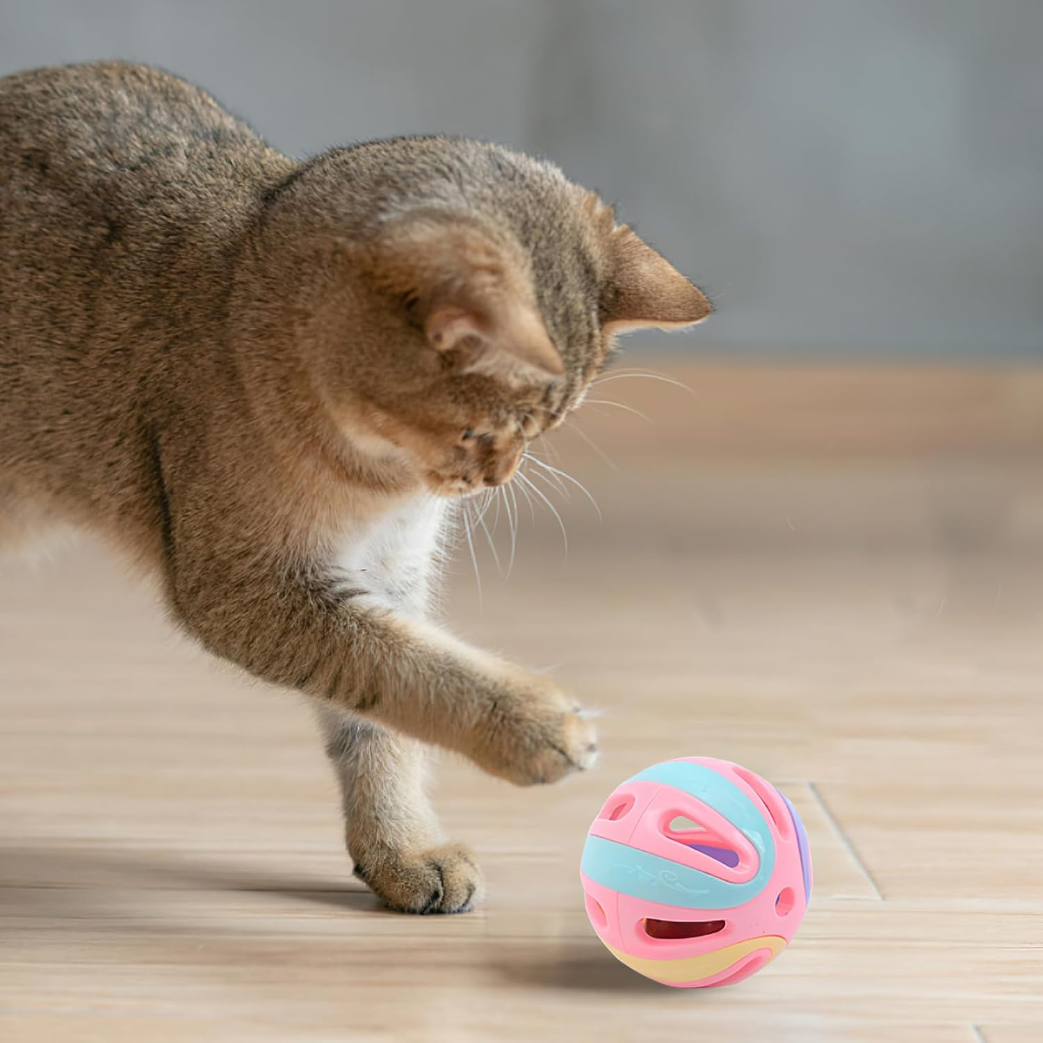 6Pcs Cat Toy Balls with Bell 8Cm Plastic Ball Cat Toys Jingle Bell Cat Toy Interactive Plastic Cat Toy Ball Large Cat Ball Pet Toys with Bell Kitten Activity Chase Pounce Play for Indoor Cats Kittens image number 1