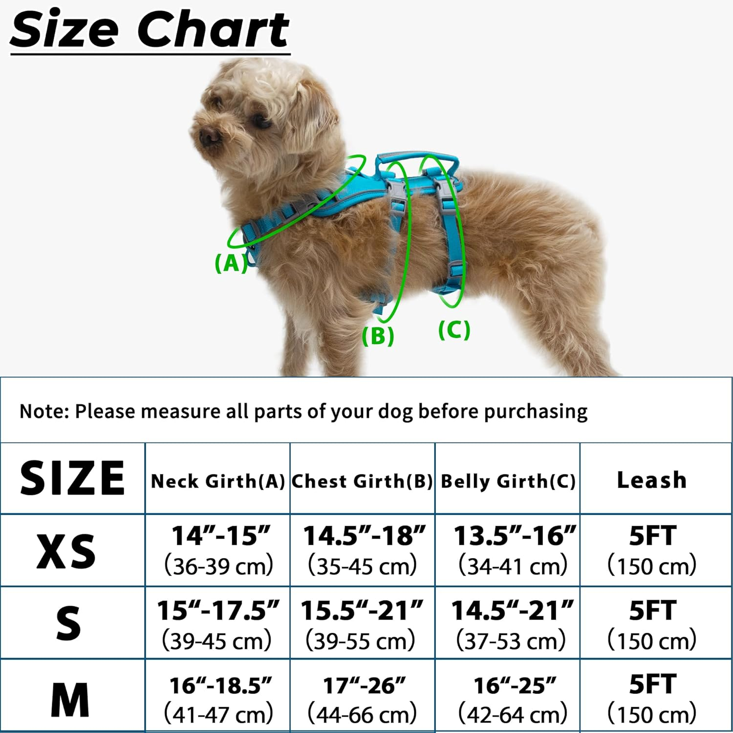 Escape Proof Dog Harness and Leash Set, Lightweight Dog Harness with Lift and Assist Handle, No Pull Reflective Pet Vest for Small Medium Dogs, Ideal for Puppy Walking and Training (Blue, XS) image number 2