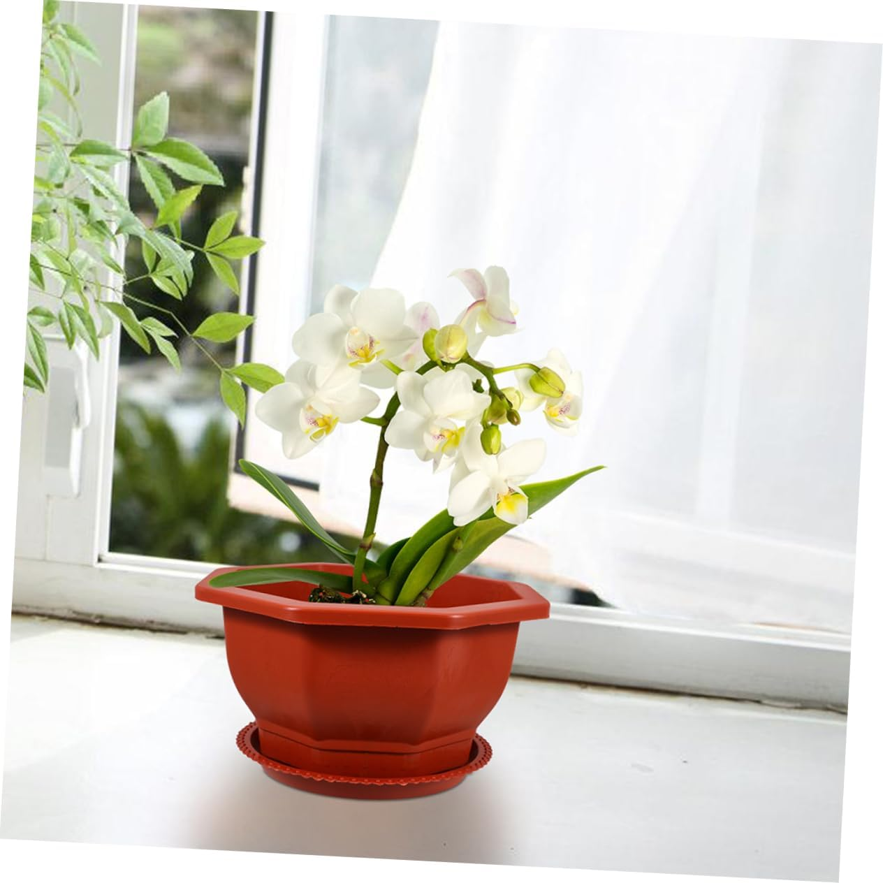 KONTONTY Octagonal Red Plant Pots 5Pcs with Saucers Thickened Plastic Indoor Plant Pots Outdoor Planters Small Indoor Planter for Home Gardening image number 3
