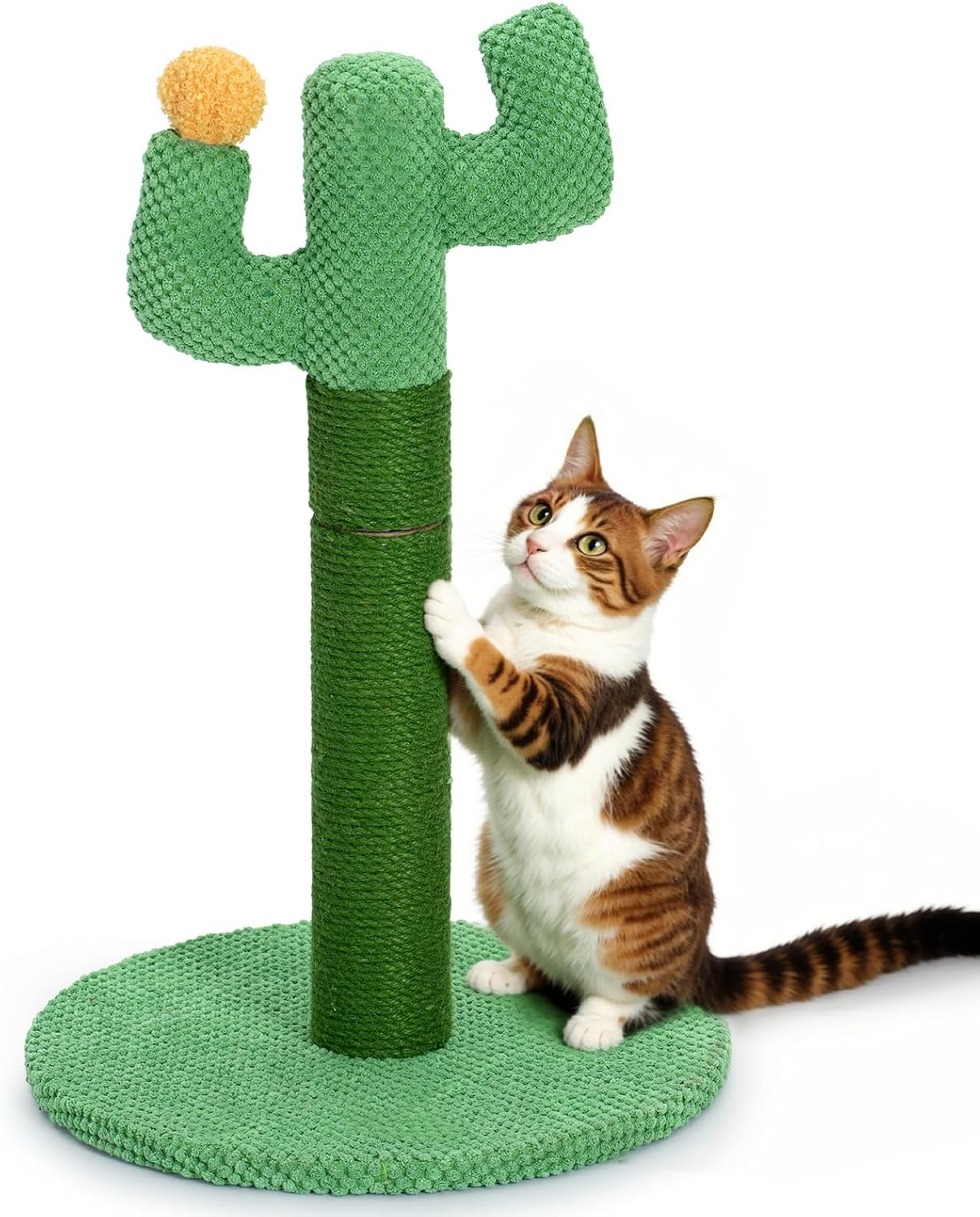 Cat Scratching Post for Indoor Cats - Happy & Polly Cactus Cat Scratch Post in Jute Rope - 50Cm Cat Scratcher with Stable Base for Kittens and Adult Cats image number 6