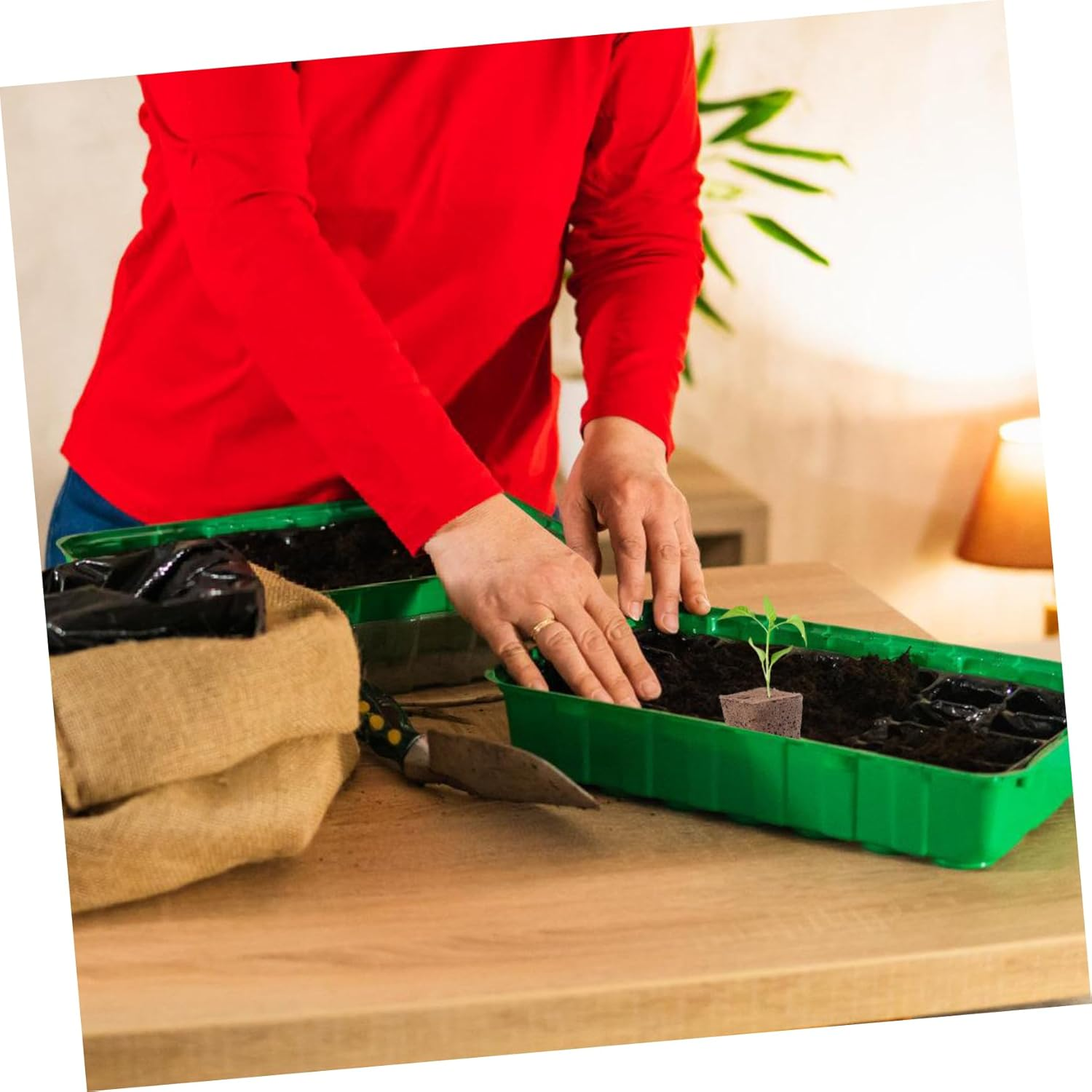 OFFSCH 40Pcs Hydroponic Starter Blocks Grow Cubes Plugs for Home Gardening Blocks Air Permeability Nutrient-Rich Planting Supplies