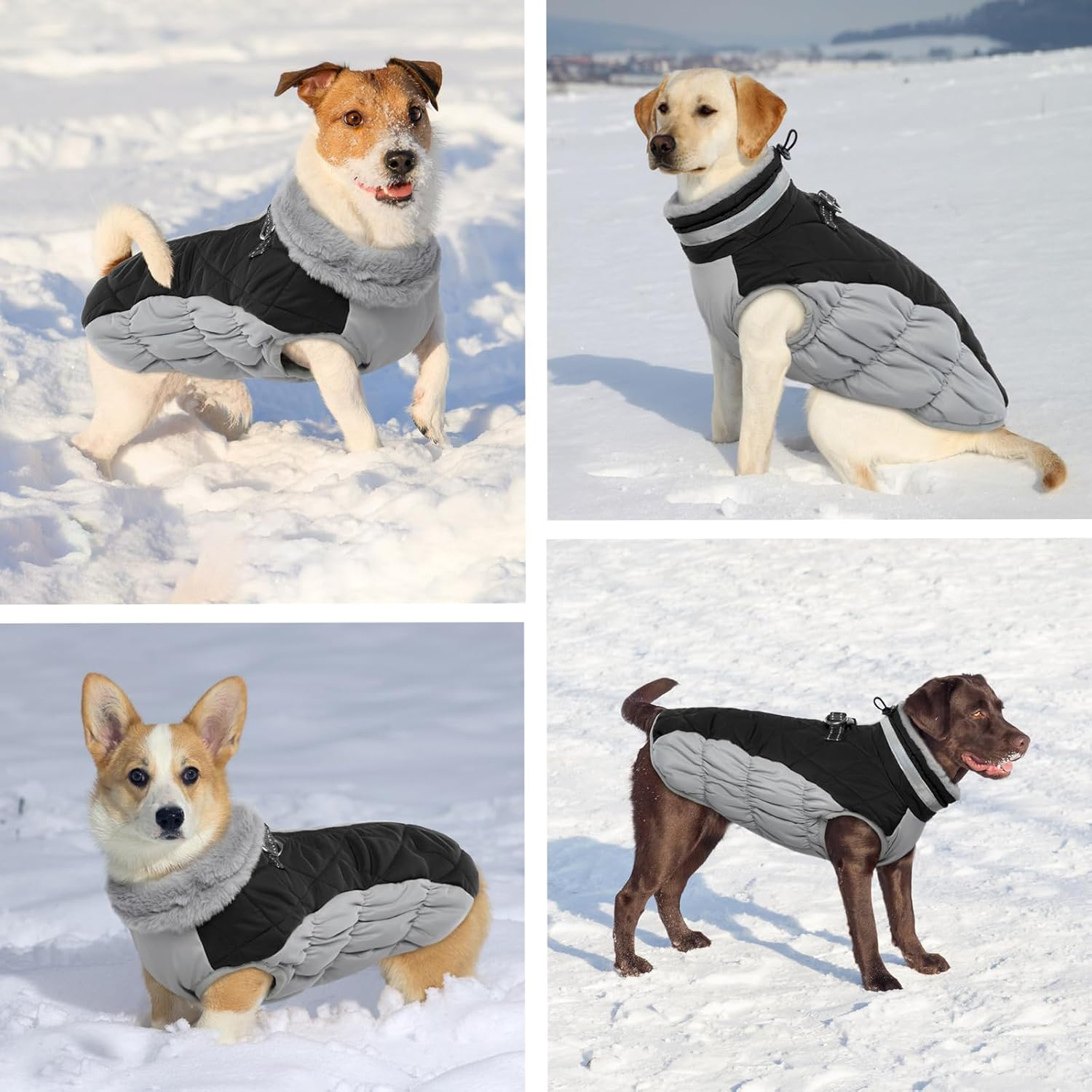 Hjumarayan Dog Coat for Small Medium Large Dogs, Dog Jacket Warm Dog Vest Winter Coat Dog Waterproof Dog Coat Lined, Dog Coat French Bulldog (Black L) image number 1