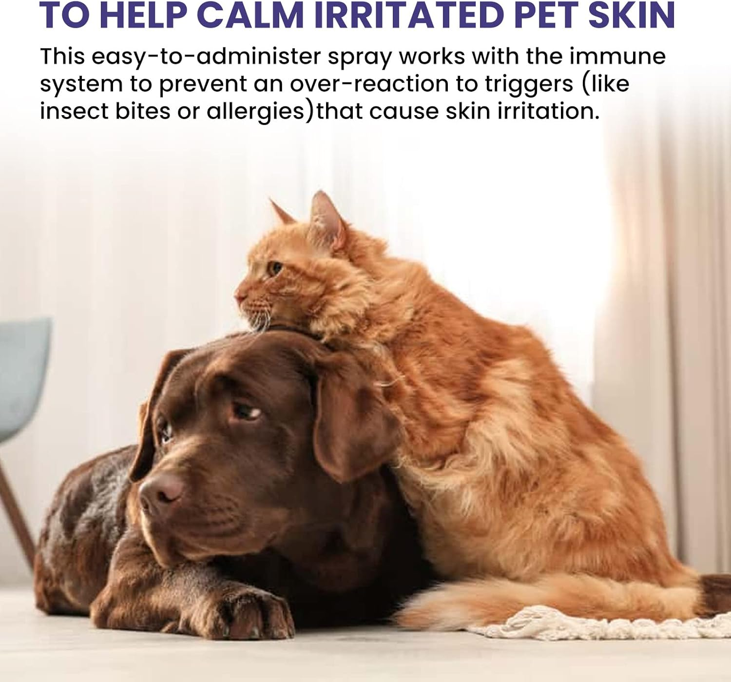 Pet Deworming Liquid Cat & Dog Flea & Tick Cleanser Lice & Tick Remover Drops (Spray 118ML) image number 1