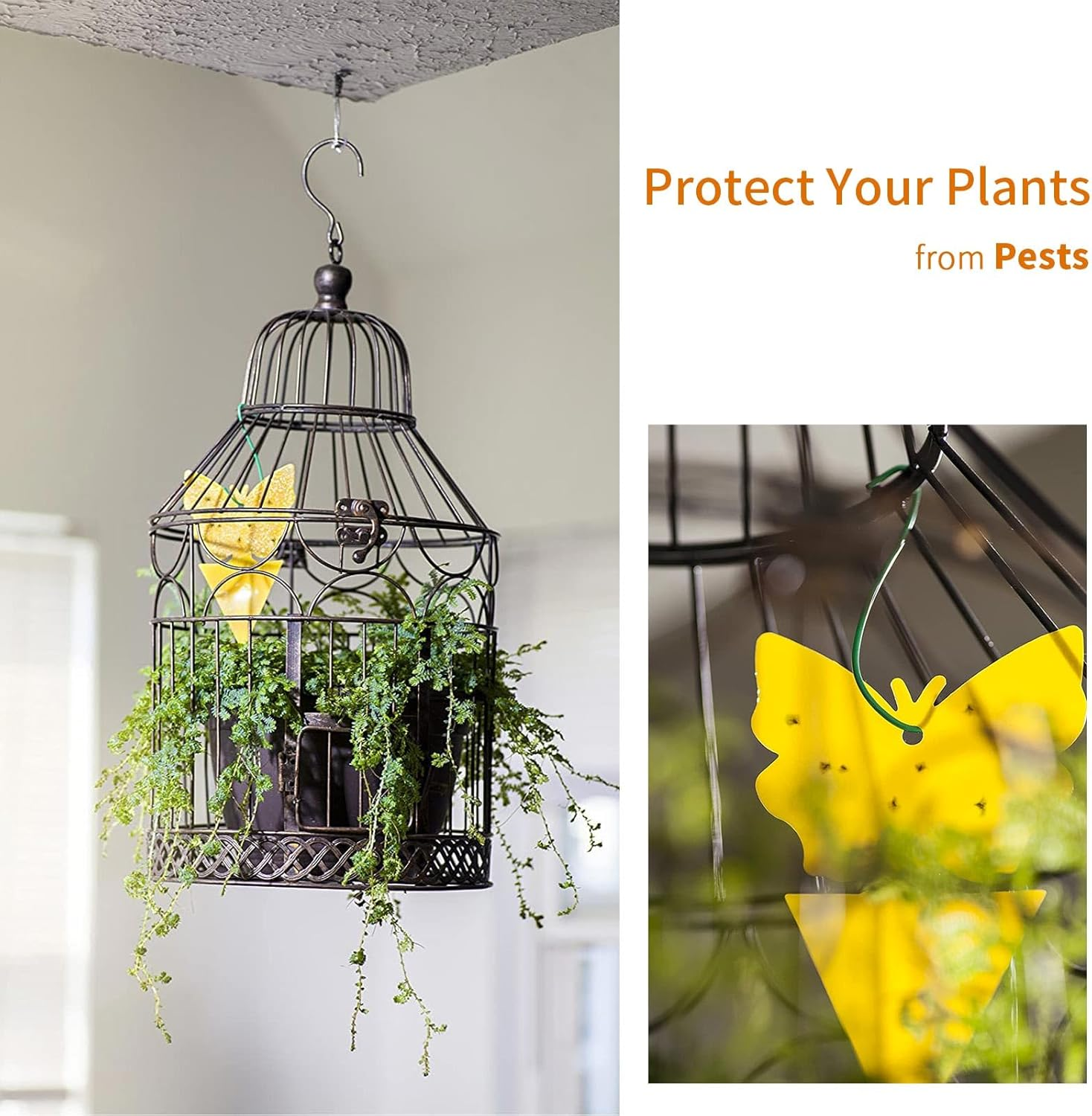 Gnat Trap Sticky Traps Dual Sided Yellow with Cable Ties Sticky Fly Trap for Mosquitos Fungus Gnats Flying Insects Ect Indoor and Outdoor Protect the Plant Non Toxic and Odorless 30Pcs Gnat Trap image number 4