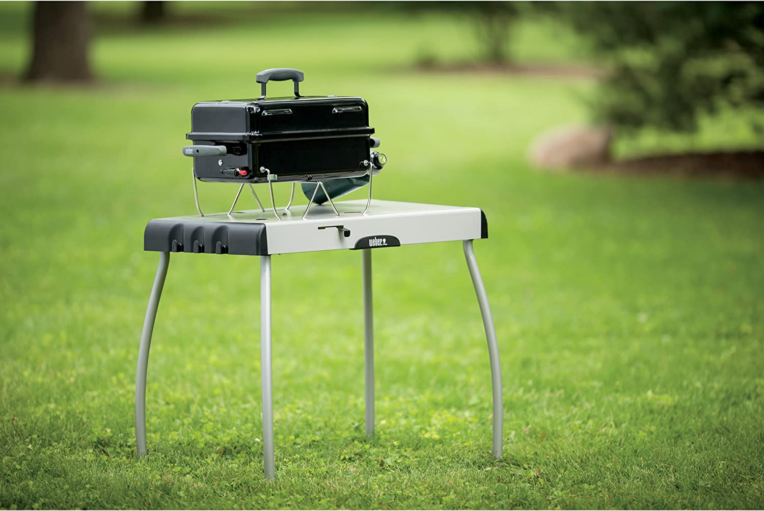 Weber Go-Anywhere Gas Grill, One Size, Black