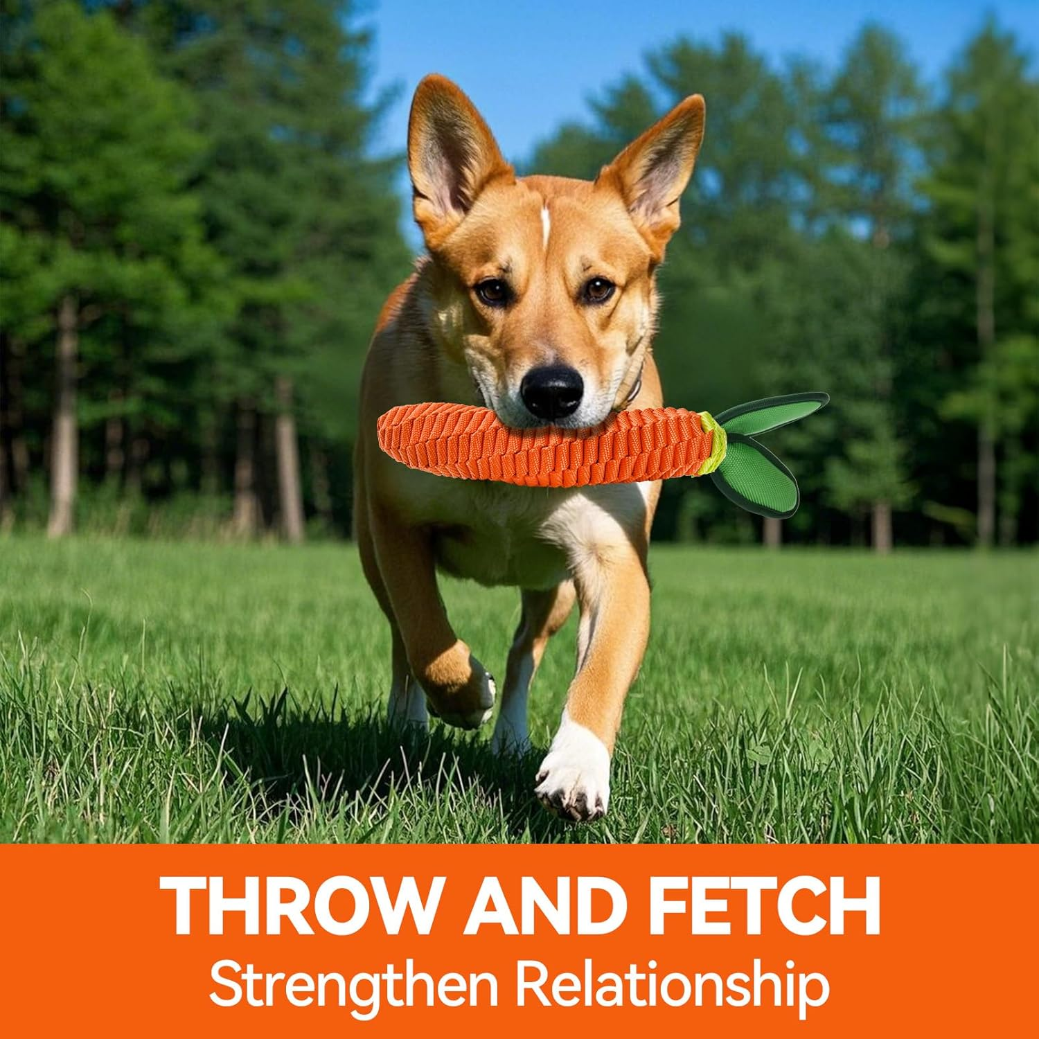 AUSCAT Dog Rope Toy, Durable Tug of War Toy with Squeaker, Braided Teething Toys for Small Medium Large Dogs, Carrot Shape image number 4