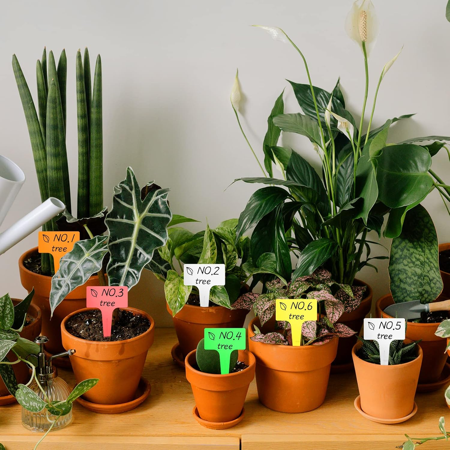 100Pcs T-Type Plant Tags，Waterproof Thick Plastic Plant Makers，6 X10Cm Nursery Garden Labels(Multicolor) (SZ-BC610T)