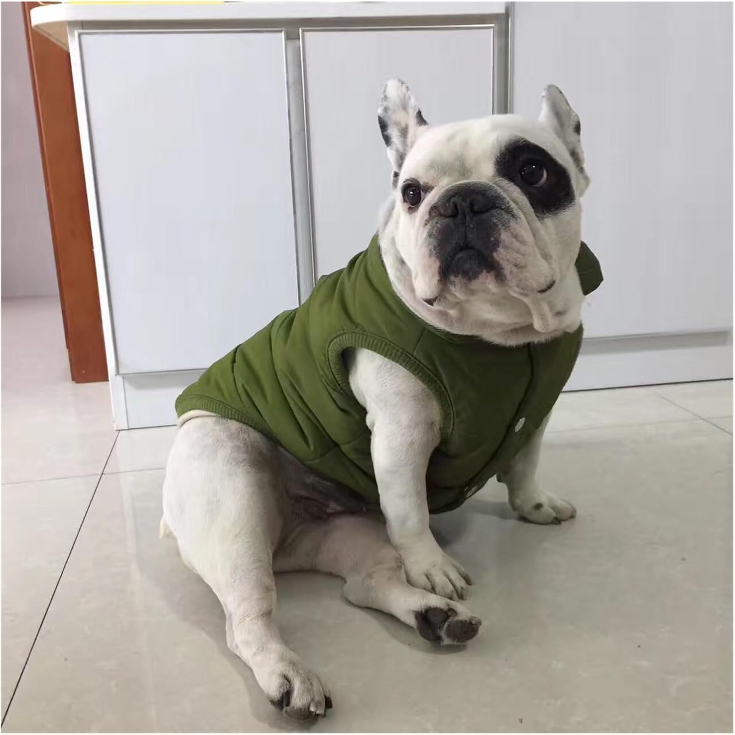 Dog Clothes Bulldog Coat Jacket Corgi Dog Clothing Inu Costume Pet Outfit Pomeranian Schnauzer Pet Apparel Warm (Color : Blue, Size : M) image number 3