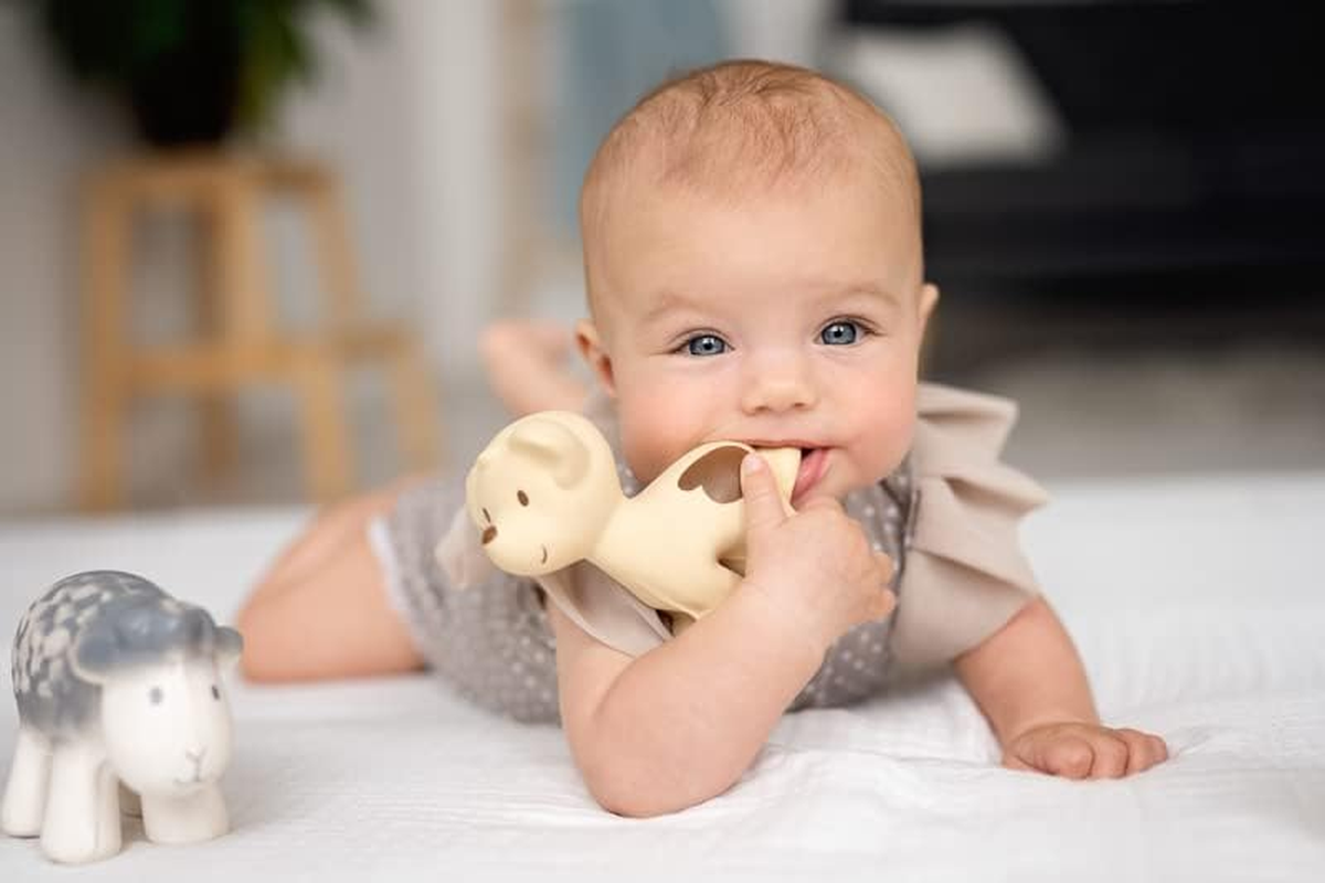 Tikiri Farm Animal Fully Enclosed All Rubber Bath Teether Toys Set of 6 image number 6