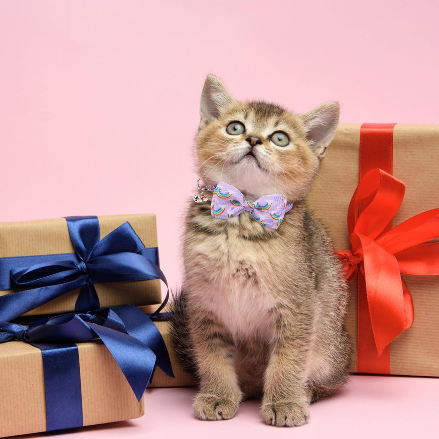 SCENEREAL Cat Collar with Bells, 2 Pcs Breakaway Cat Collars with Adustable Bowtie, Safety Kitten Collar for Boy Girl Cats Puppy, Cute Rainbow & Floral Pet Collar, Green & Purple - Butterfly  Avocado image number 5