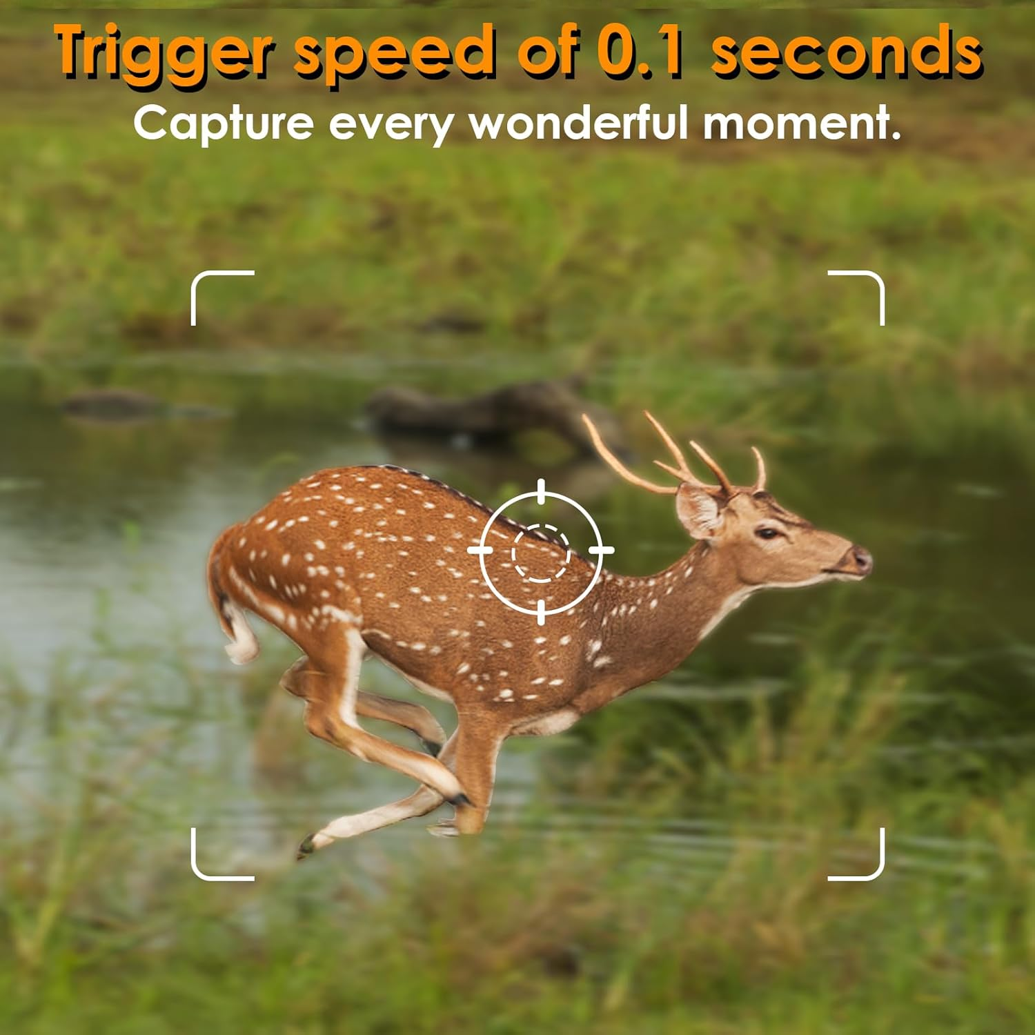 Game Trail Camera No Glow 64MP 1296P H.264 MP4 Video Night Vision 0.1S Trigger Motion Activated Easy Operate Waterproof Wildlife Hunting Deer Cam Password Protected Photo & Video Model Time Lapse image number 5