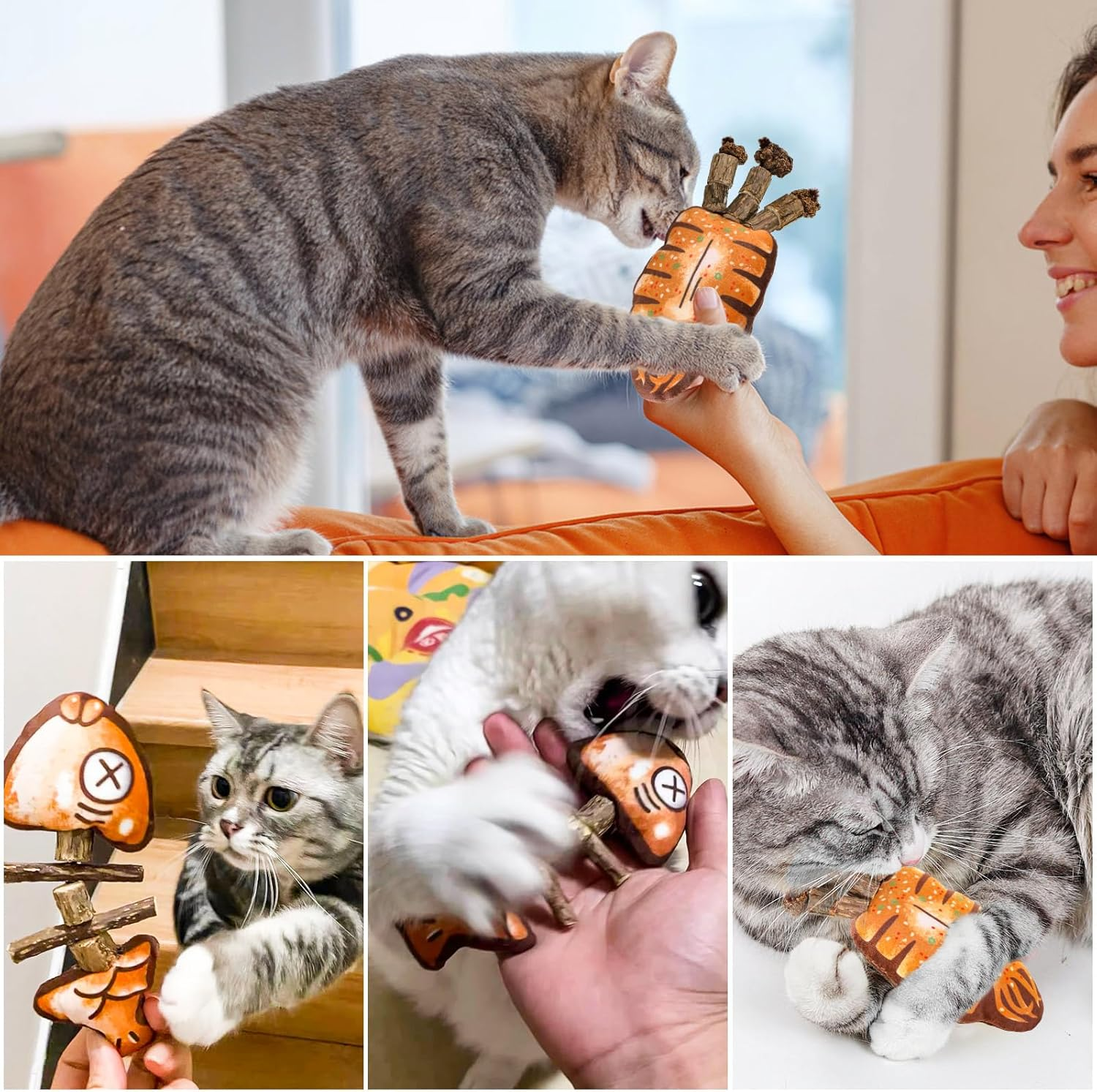 Catnip Toys, Cat Toy for Indoor Cats, Cat Nip Snack for Teeth Cleaning, Cat Fish Toys for Chew Treats