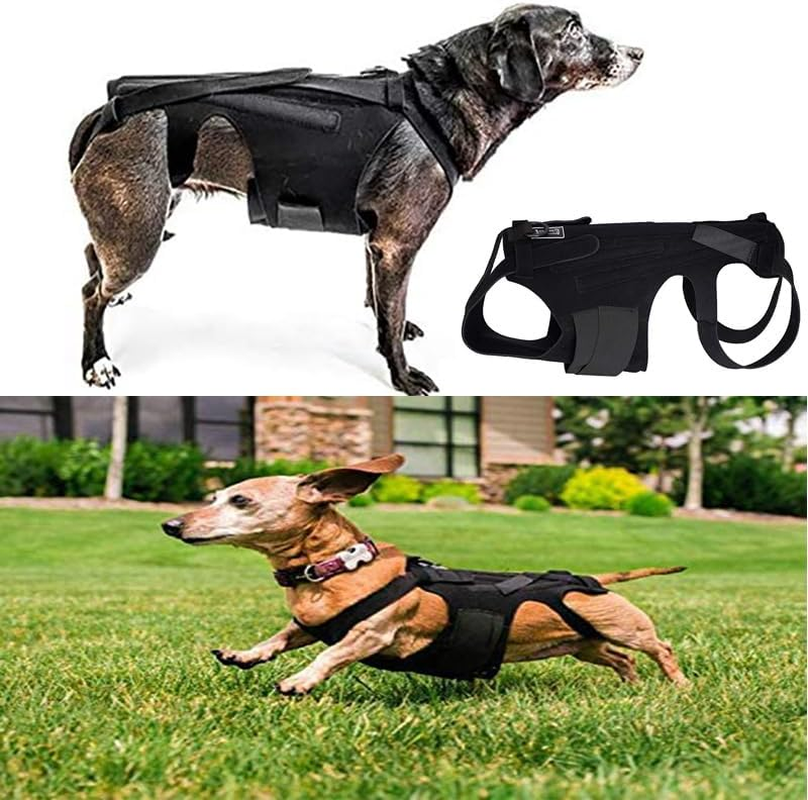 Dog Back Brace for Dog Back Pain, Arthritis, Good for Dachshunds, Corgies, Frenchies (S)