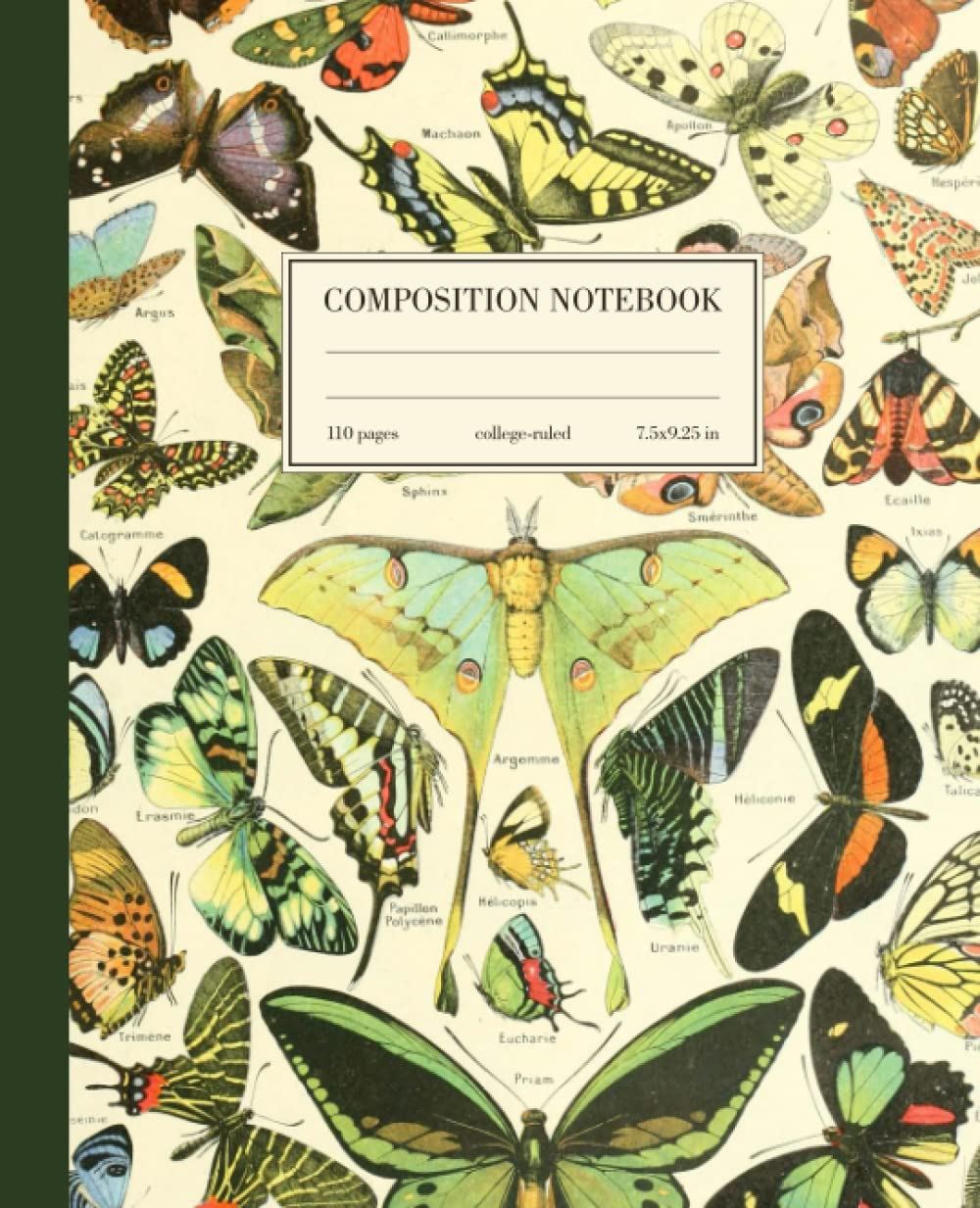 Composition Notebook College Ruled: Luna Moth Butterfly Vintage Botanical Illustration | Cute Aesthetic Journal for Girls, Teens, Women | Wide Lined
