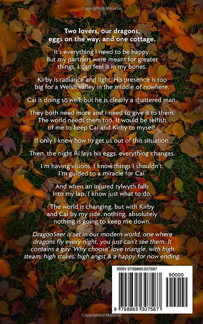 Dragonseer: MMM Paranormal Romance