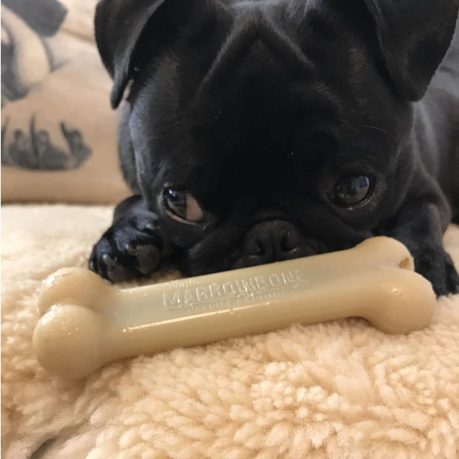 The Spawn Company Dental Toy Malrowbone Petite Dog Toy image number 4