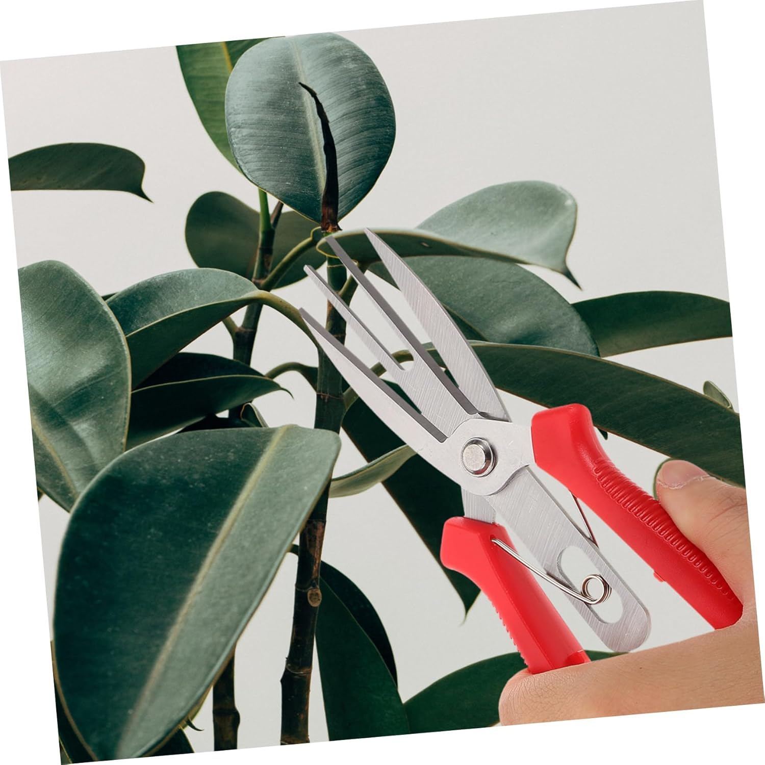 Kisangel Garden Pruning Shears Pruning Shears for Gardening Flowers Plants Bonsai Scissors Comfortable Handle image number 4