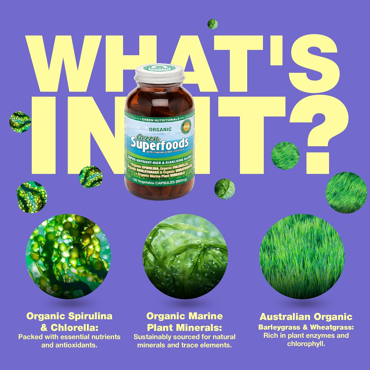 Green Nutritionals Greensuperfoods 250 Capsules - Vegan Vegetarian Friendly image number 4