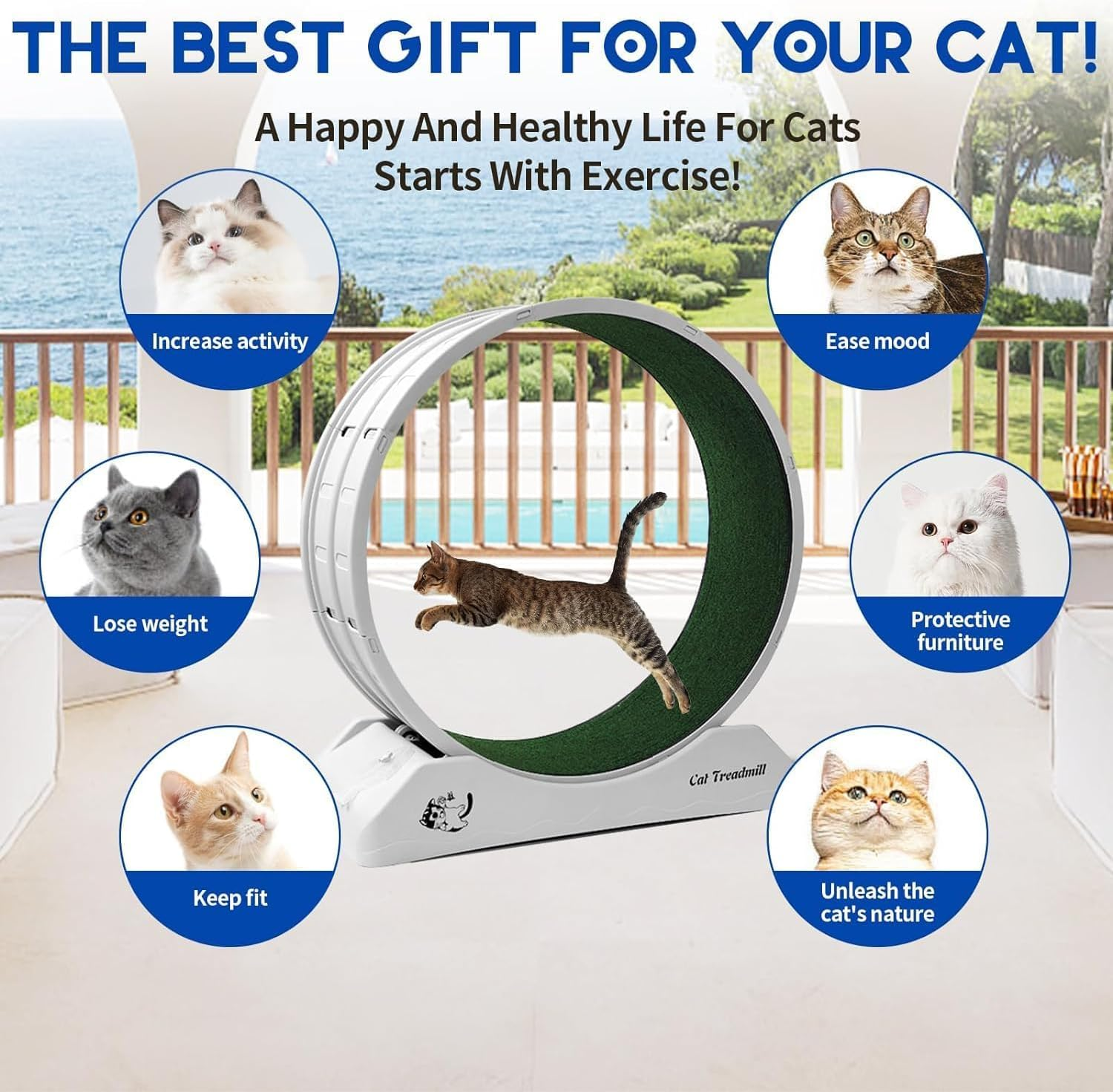 Homodoskey Cat Exercise Wheel Cat Wheels for Indoor Cats, Cat Running Wheel with Carpeted Runway, Cat Treadmill Wheel Exerciser for Kitty&rsquo;S Longer Life, Plastic Cat Wheel for Fitness Weight image number 3