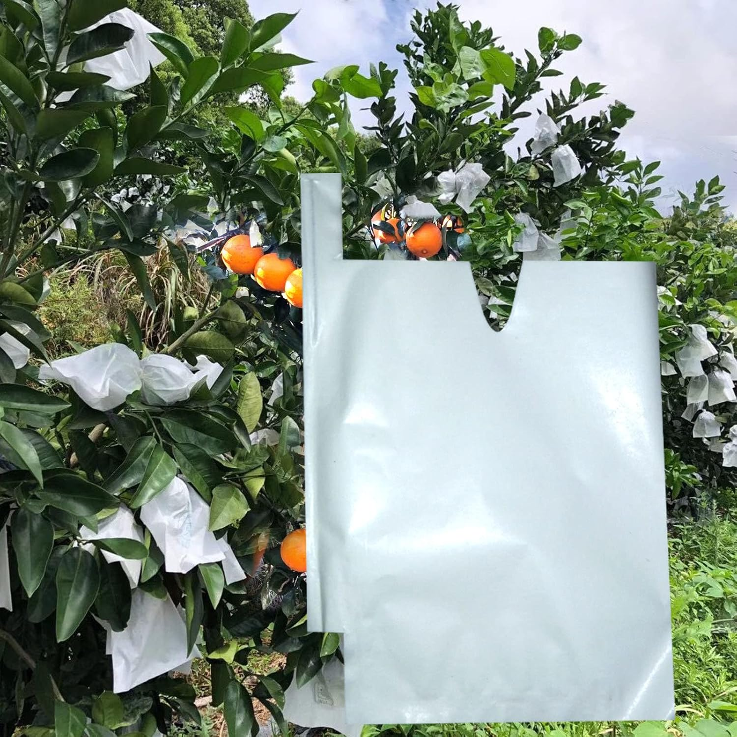 Houwana Fruit Protection Paper Bags 100Pcs White Protection Cover Bags 6.2X7.7Inch, Fruit Bags for Fruit Trees, Orchard, Trees, Frost, Plants (16X20) image number 1