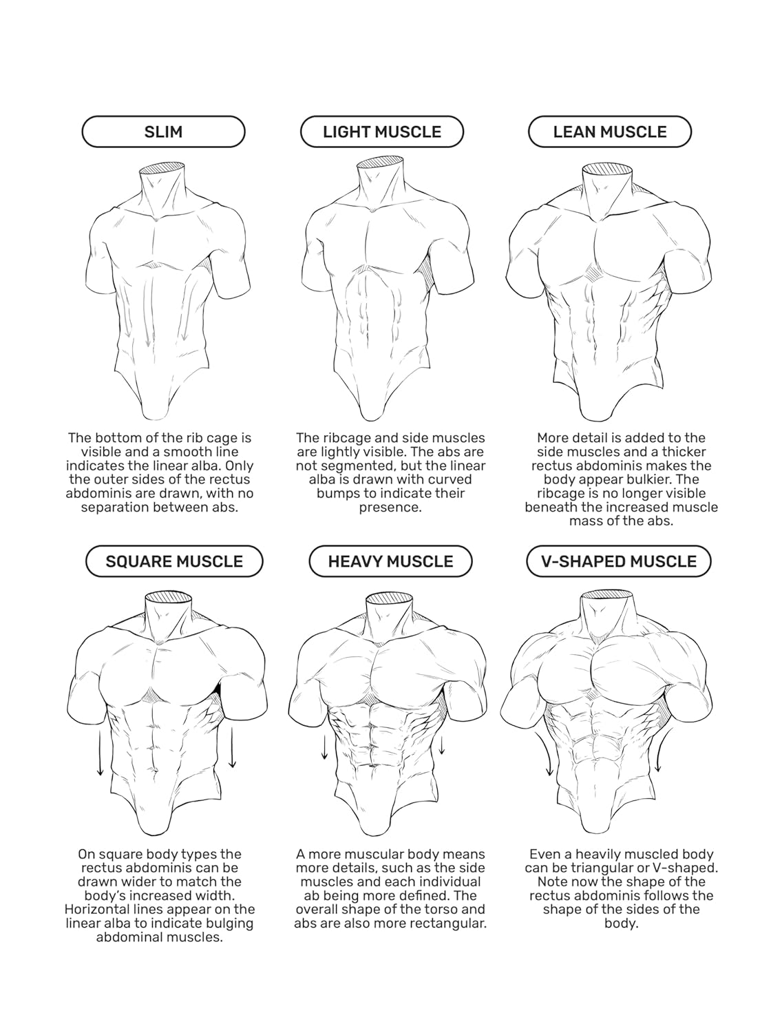 How to Draw Manga: the Male Physique image number 4