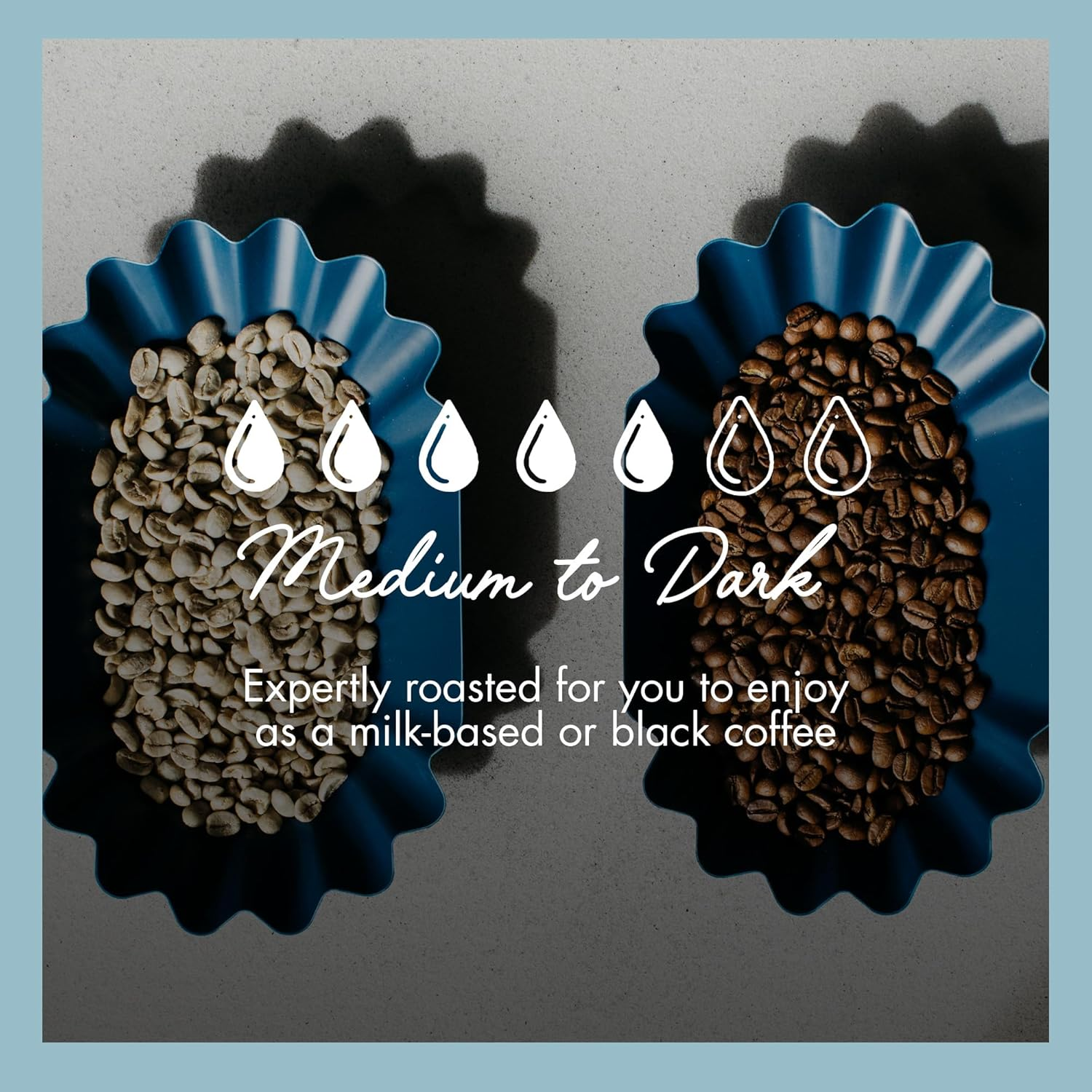 Will & Co. Natural Coffee Beans - 1Kg