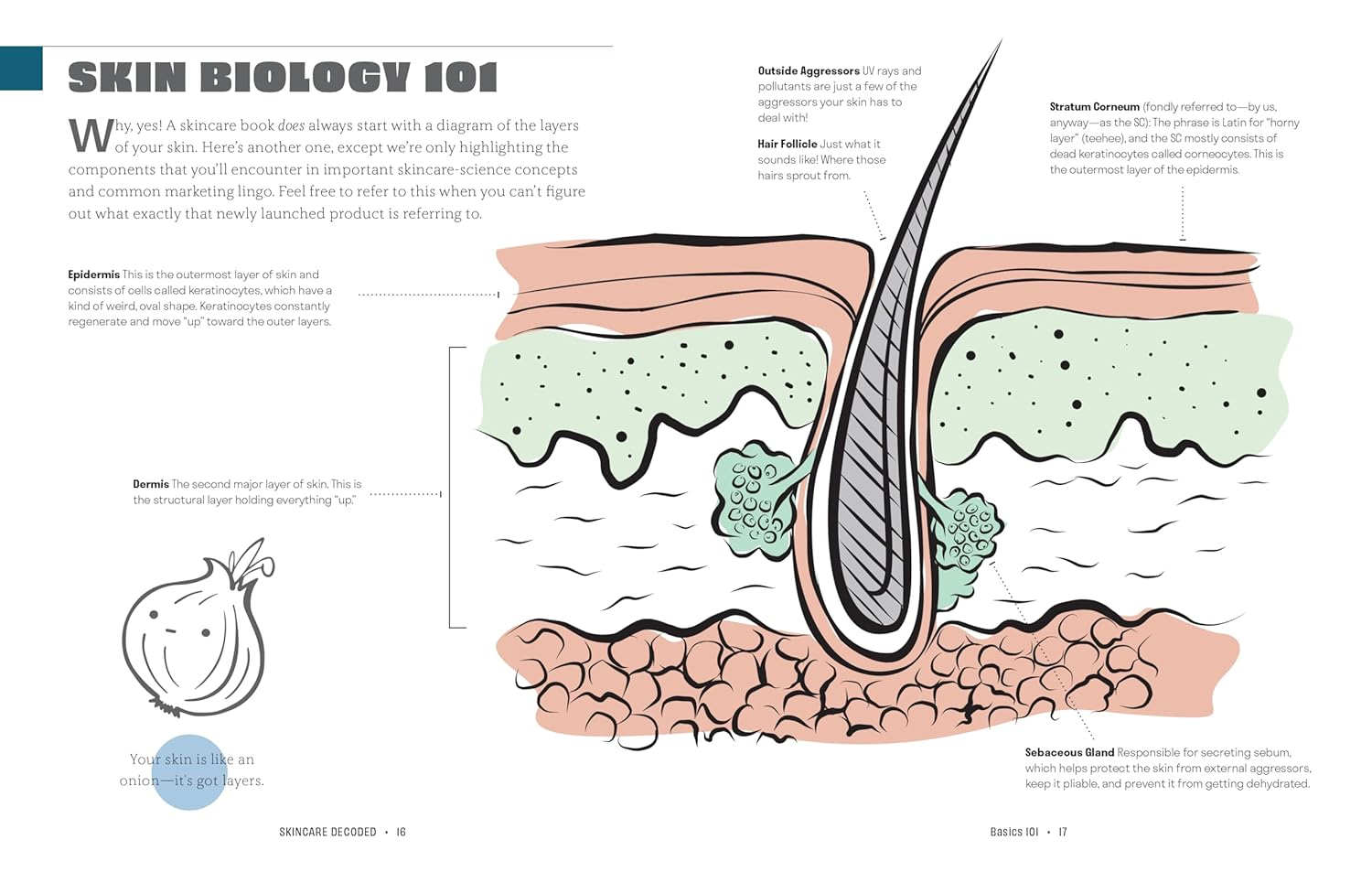 Skincare Decoded: Revised and Expanded: the Practical Guide to Beautiful Skin image number 6