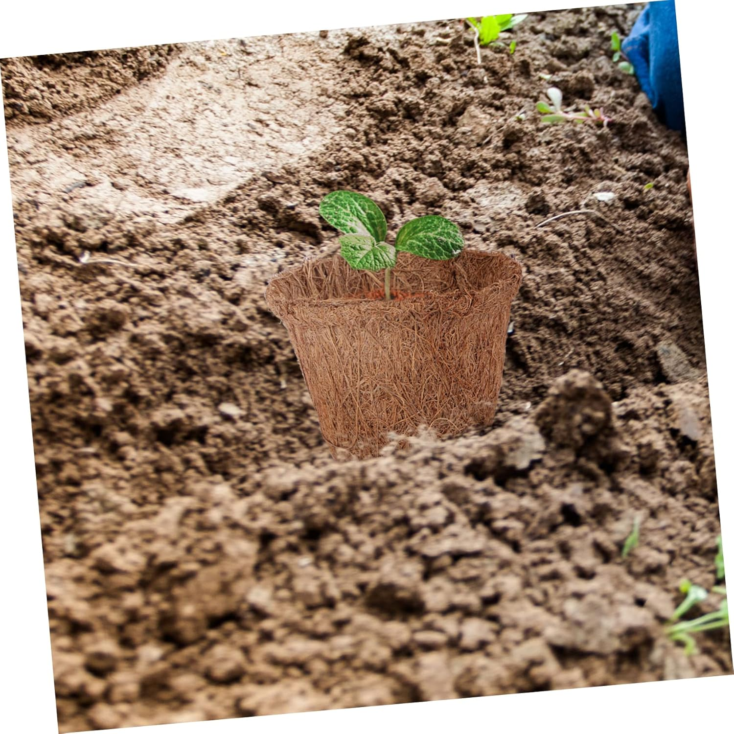 10Pcs Creative Planting Bag Garden Planting Pot Bag Decorative Seedling Pot for Small Plants Pack image number 1