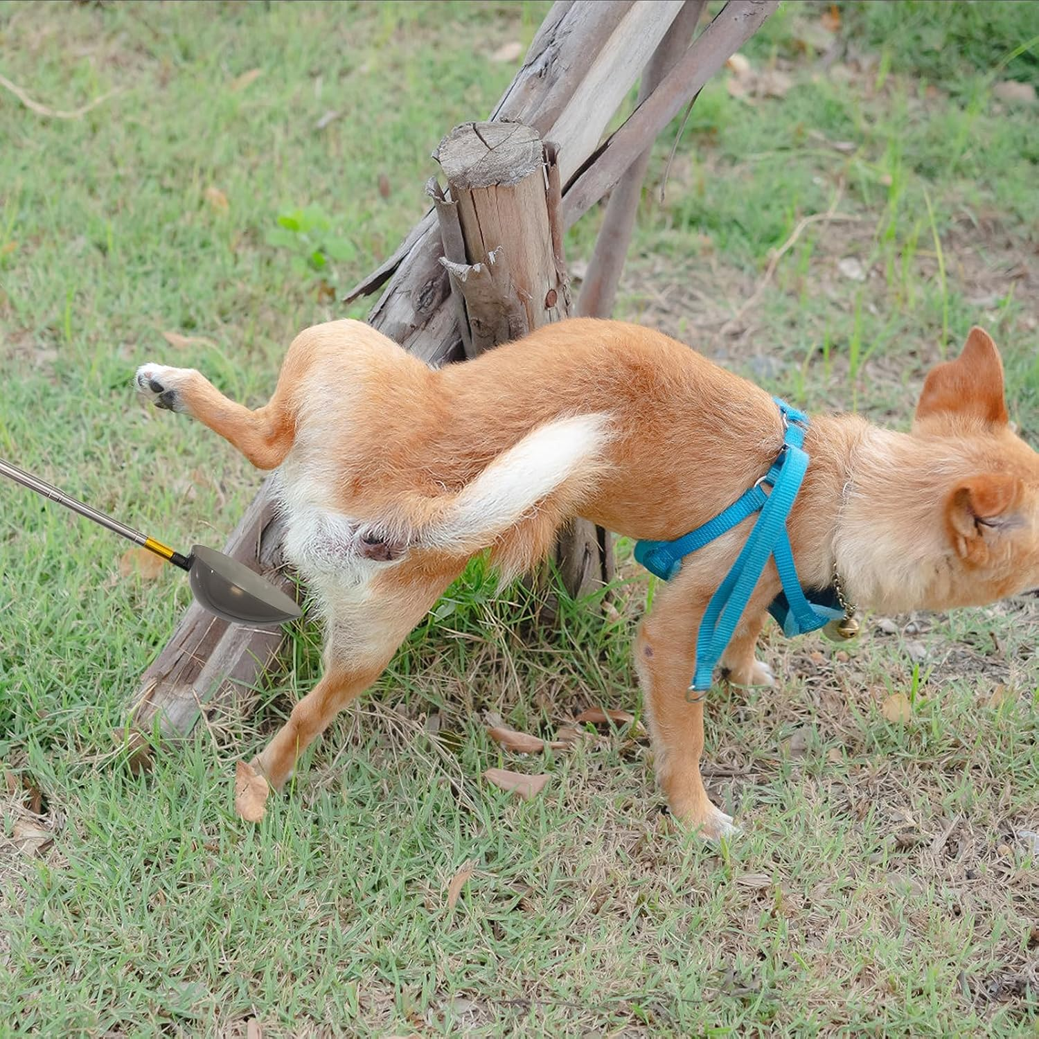 Qotang Pet Urine Collector, Urine Collector for Dogs and Cats, Telescopic Urine Collector for Dogs, Pet Urine Stick, Urine Sample Catcher, Reusable Dog Urine Collector image number 4