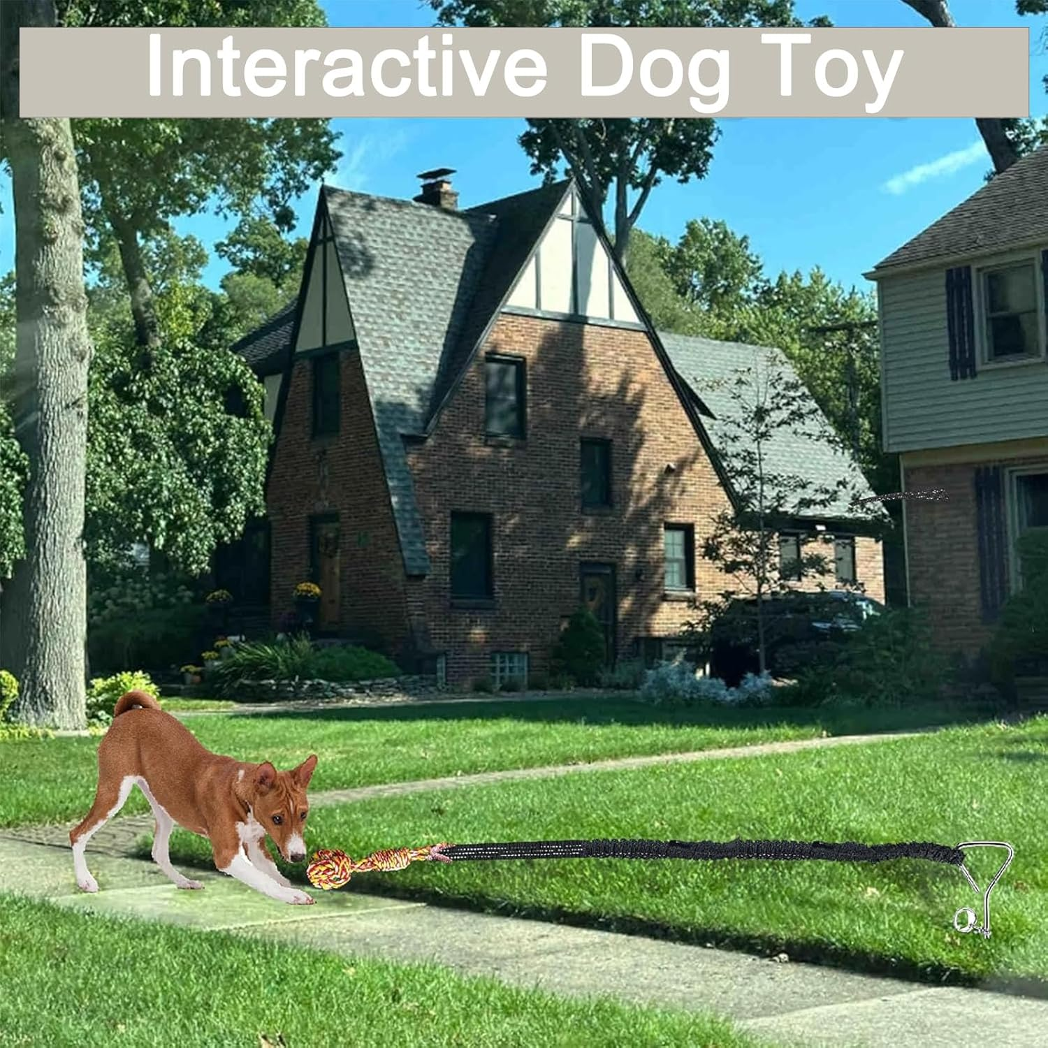 Heavy Duty Dog Bungee Tug Toy - Outdoor Interactive Play for Small/Medium/Large Dogs with Ground Stake for Lawns & Trees image number 3