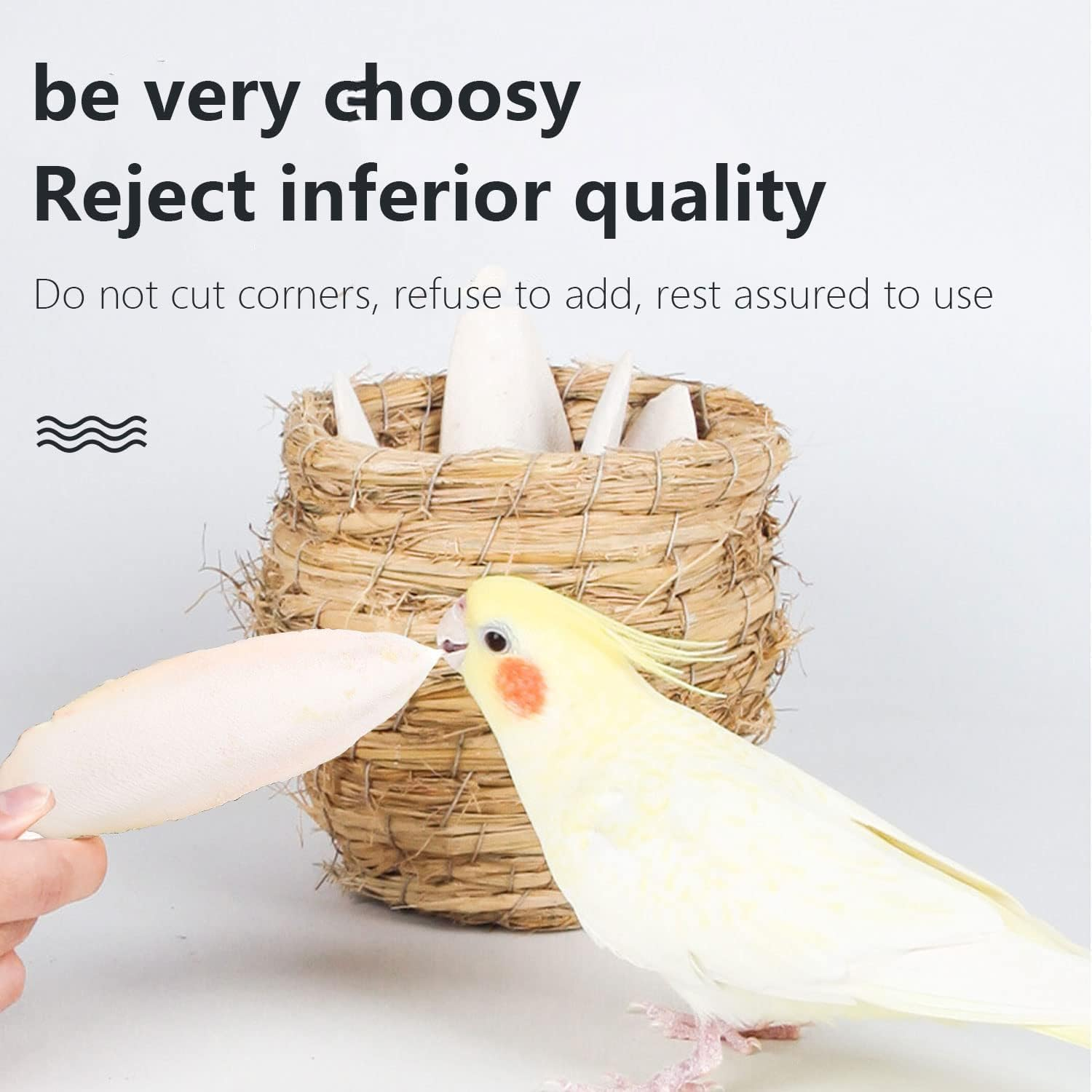 Powerful 10PCS Cuttlebone 12-13Cm Cuttlefish Bone Natural Cuttlefish for Birds Parrots Reptiles Tortoise Snails image number 1