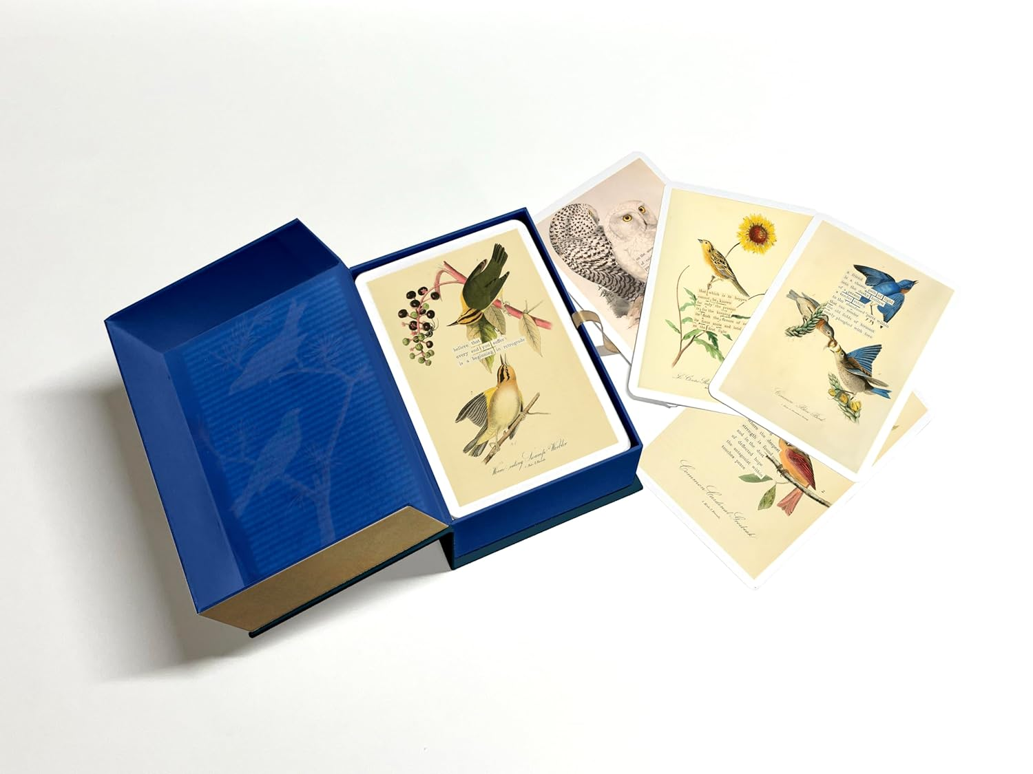 An Almanac of Birds: 100 Divinations for Uncertain Days image number 2