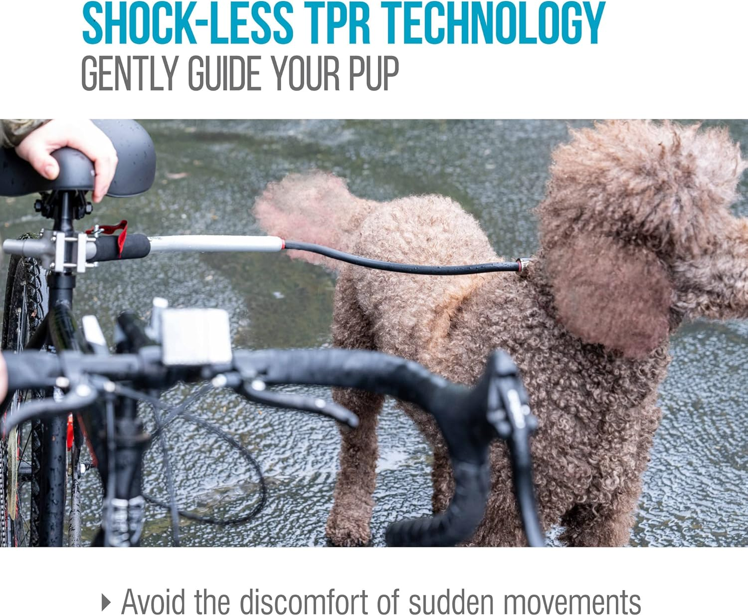 Sherpa Cycleash Universal Bicycle Leash, Silver